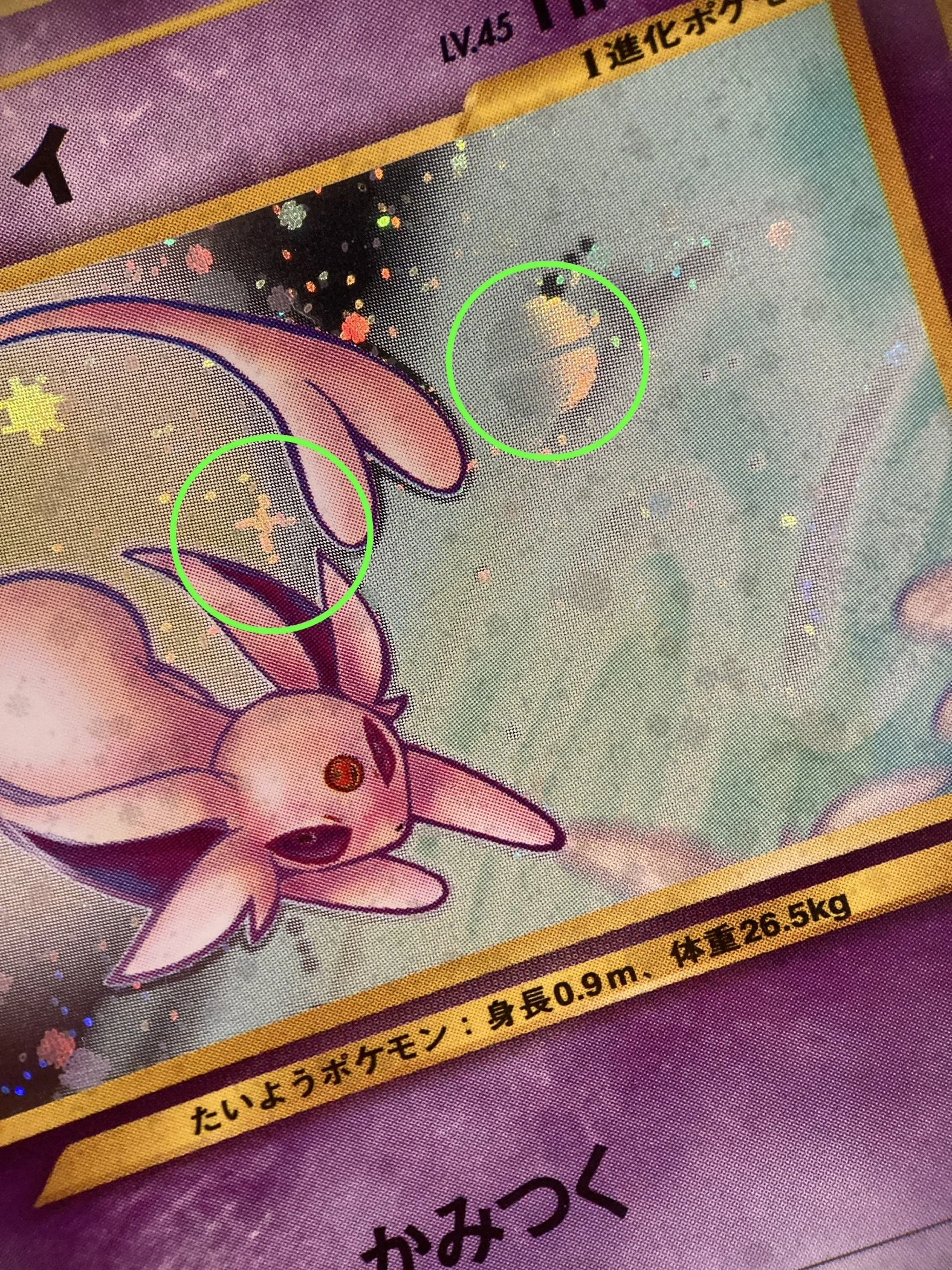 Photo 2026-03-13, 22 52 42 (1).jpg