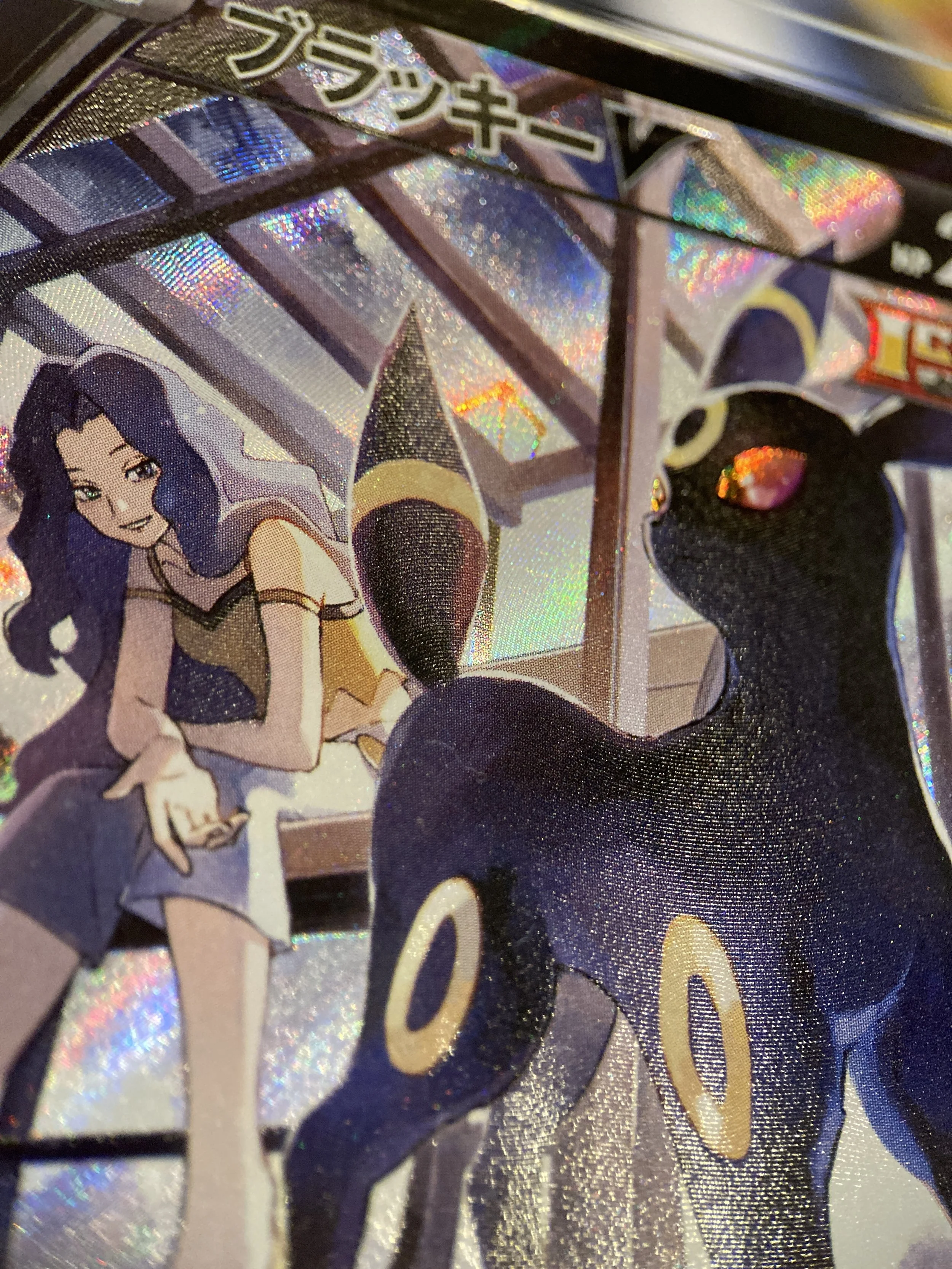 Photo 2026-03-13, 16 38 35.jpg