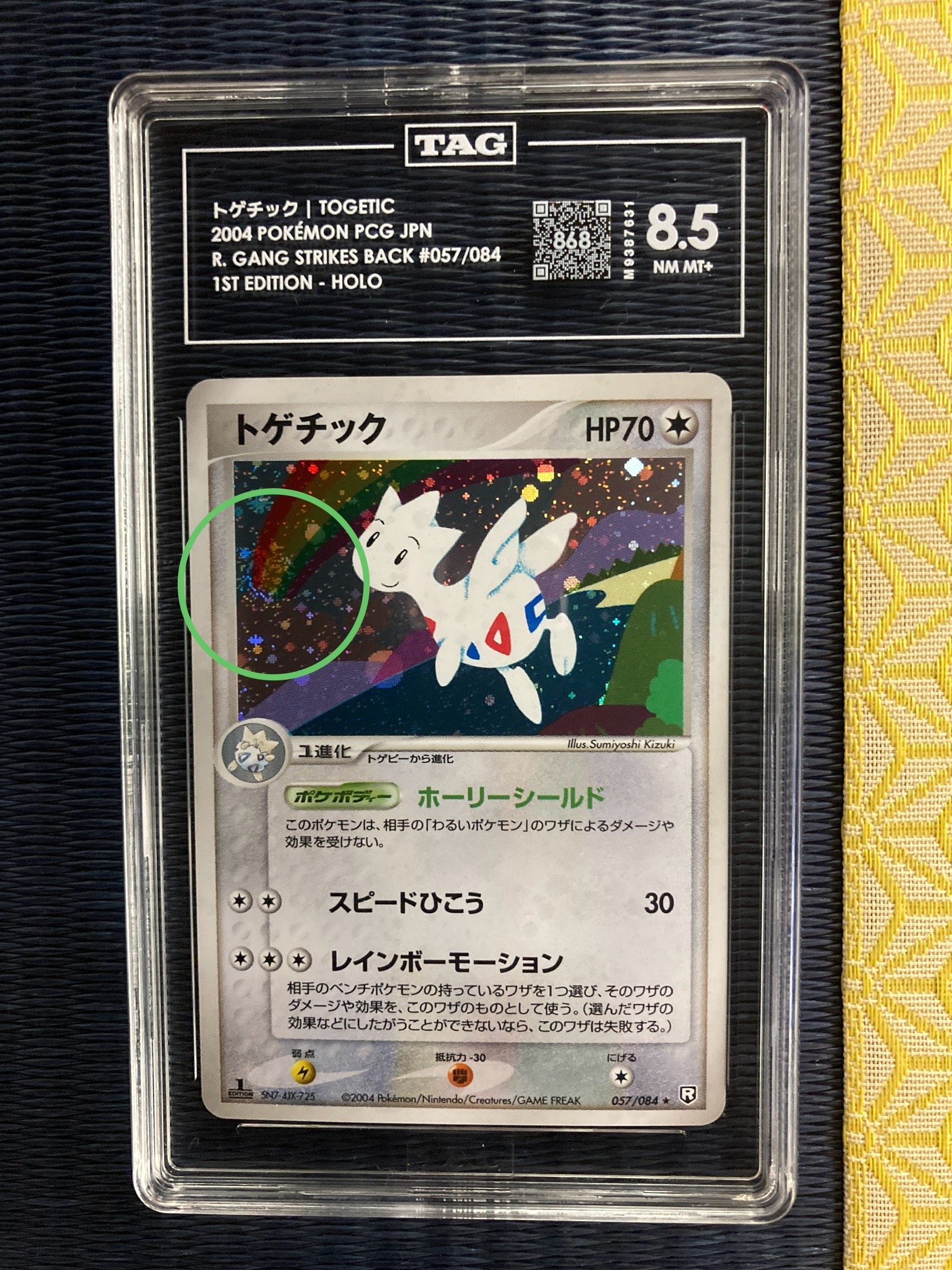 Photo 2026-01-16, 21 03 34 (2).jpg