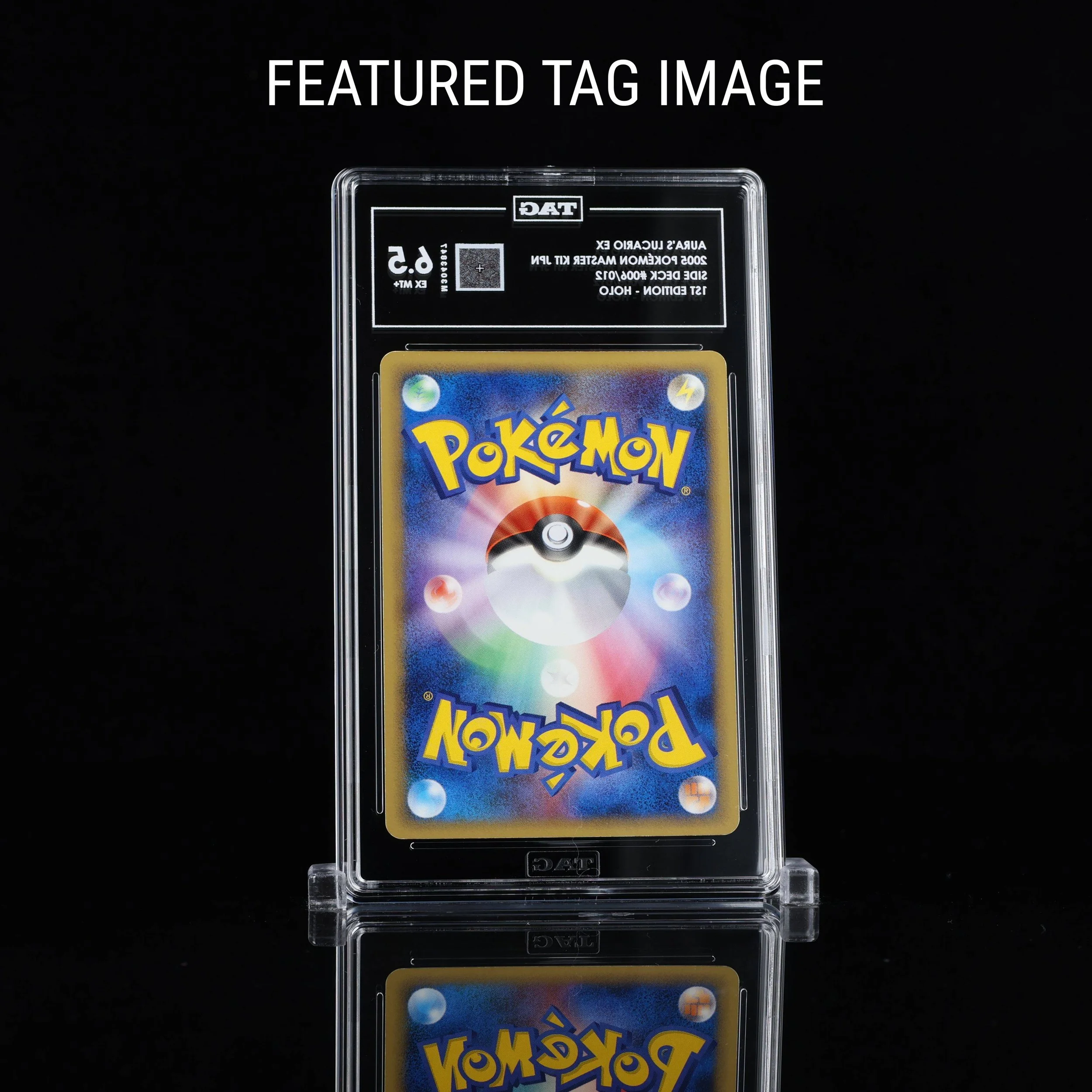 Lucario Master FTI Back.png