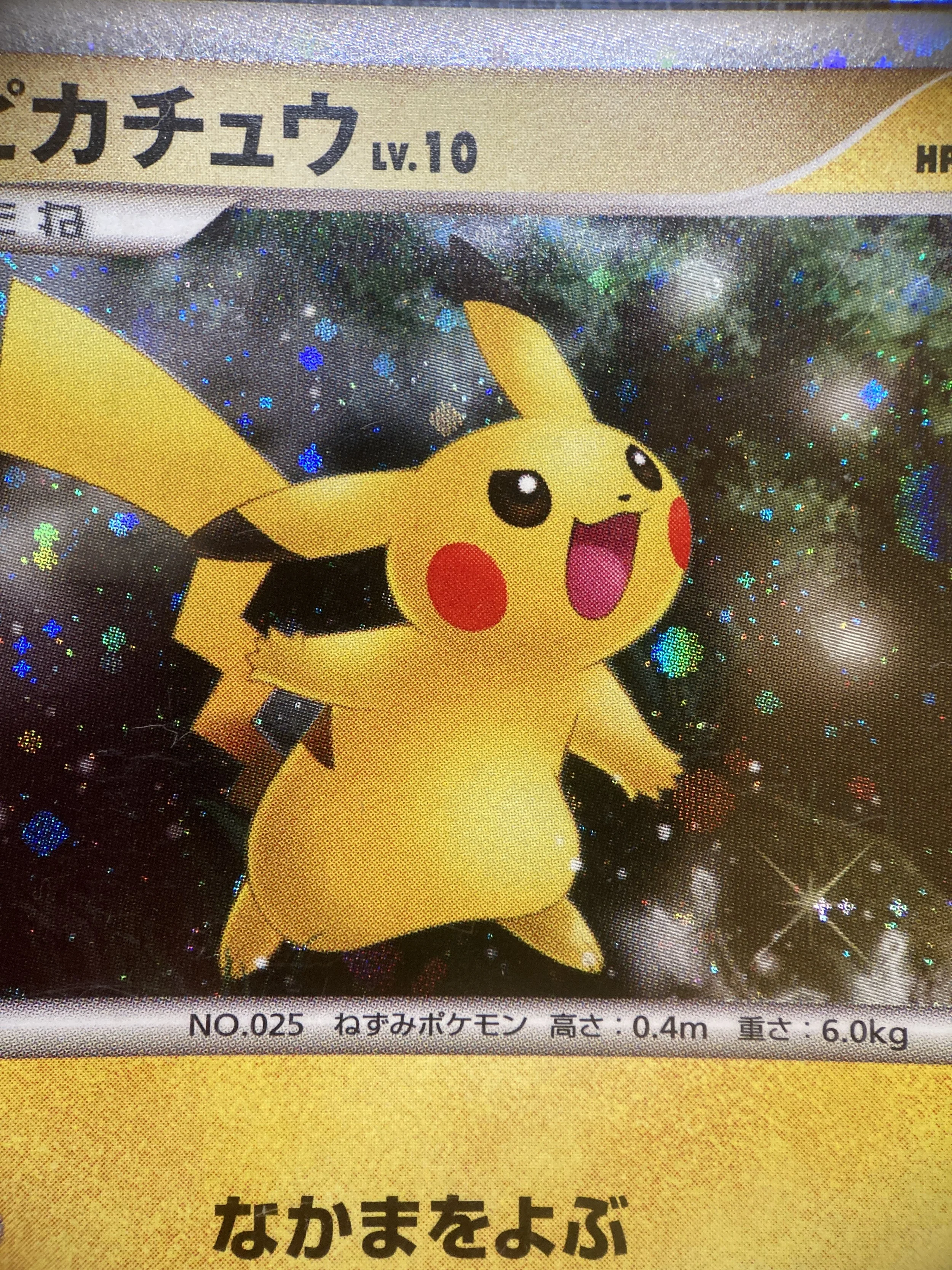 Photo 2026-02-23, 11 32 56.jpg