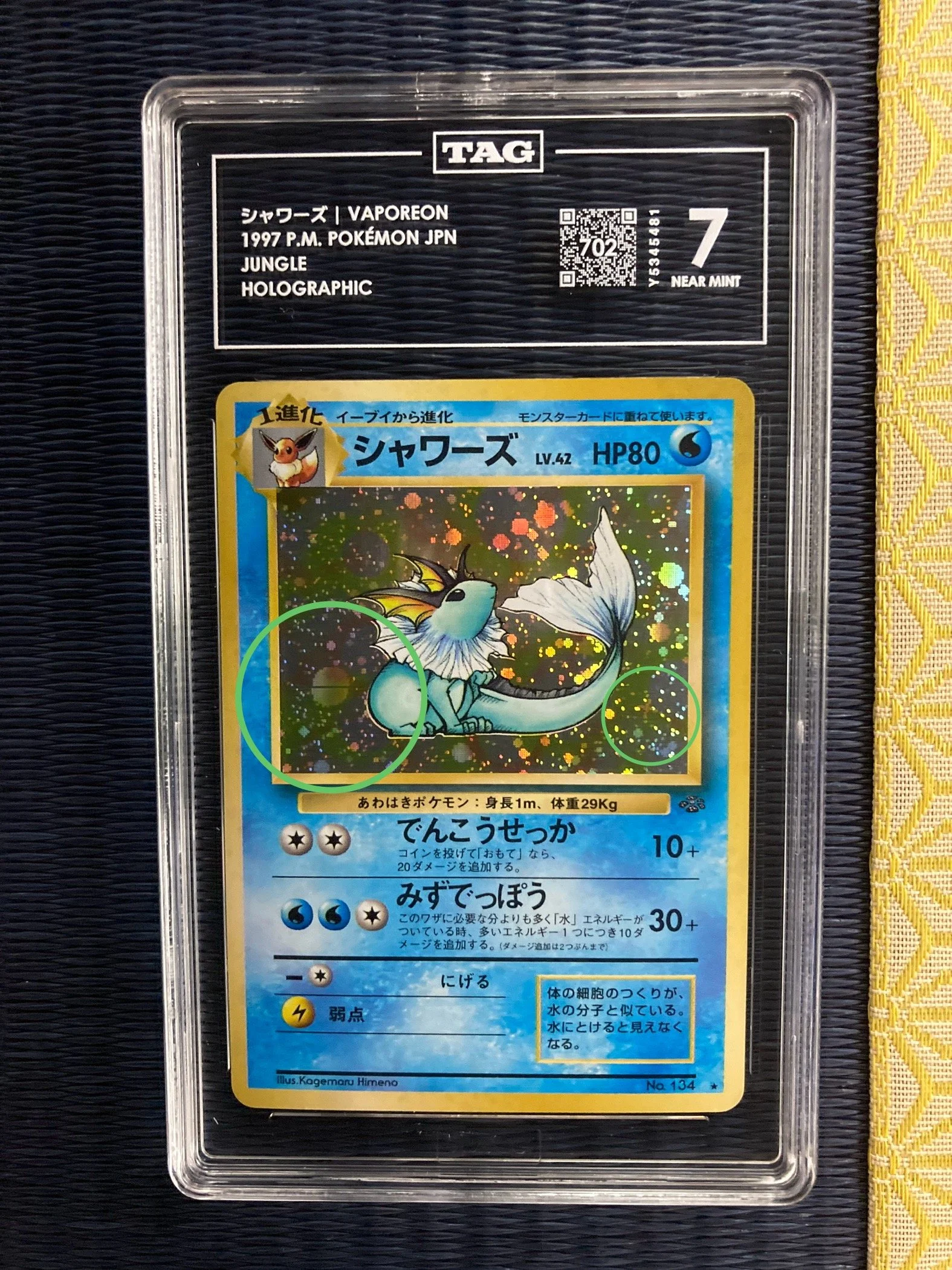 Photo 2026-01-16, 21 03 34 (1).jpg