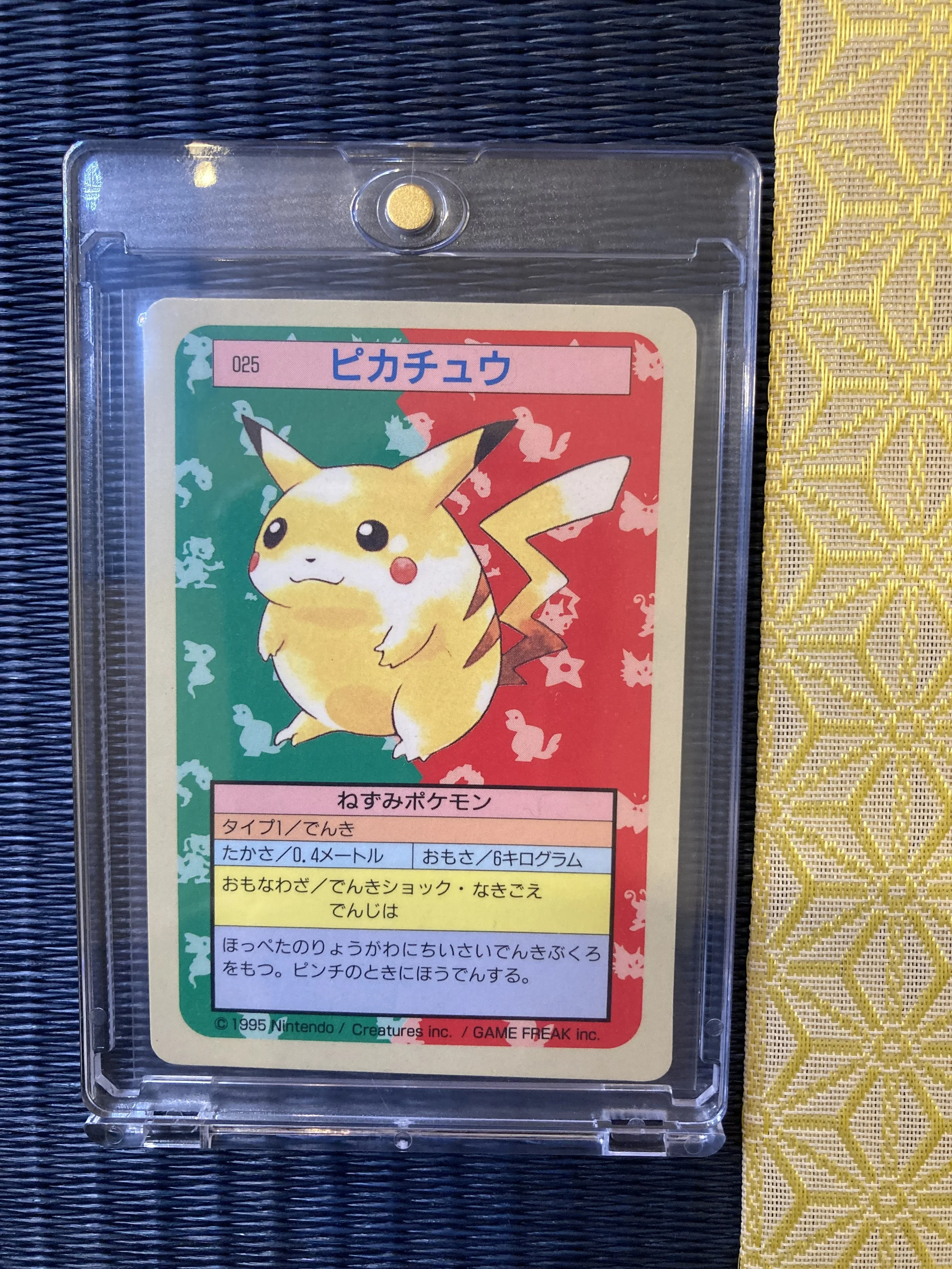 Photo 2026-02-23, 9 22 00.jpg