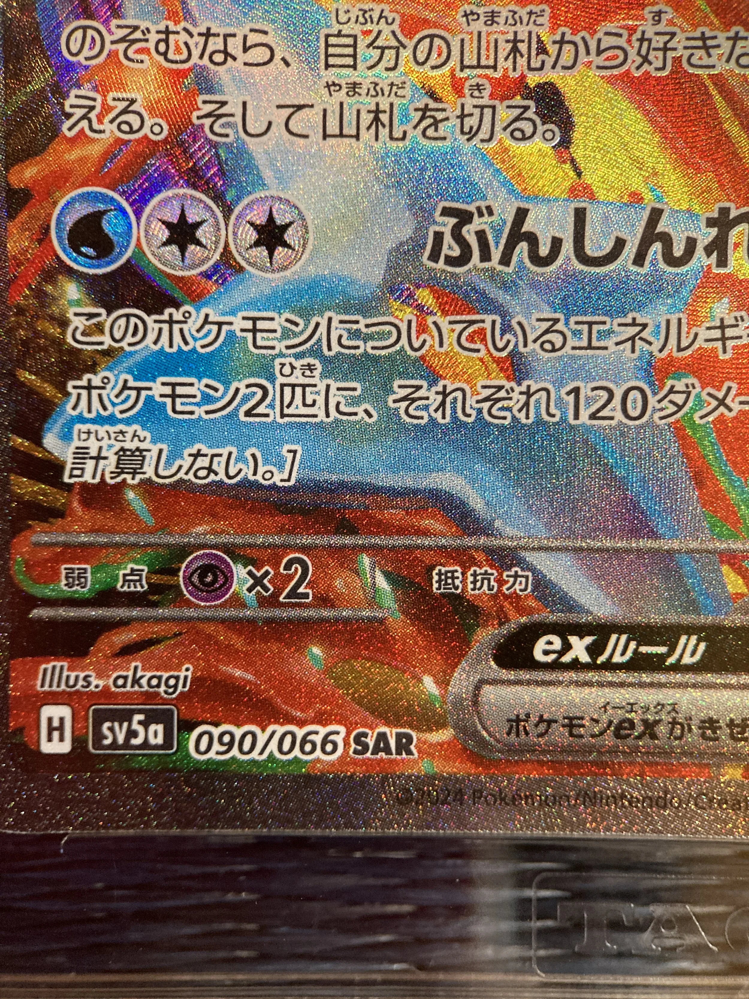 Photo 2026-03-13, 16 36 16.jpg