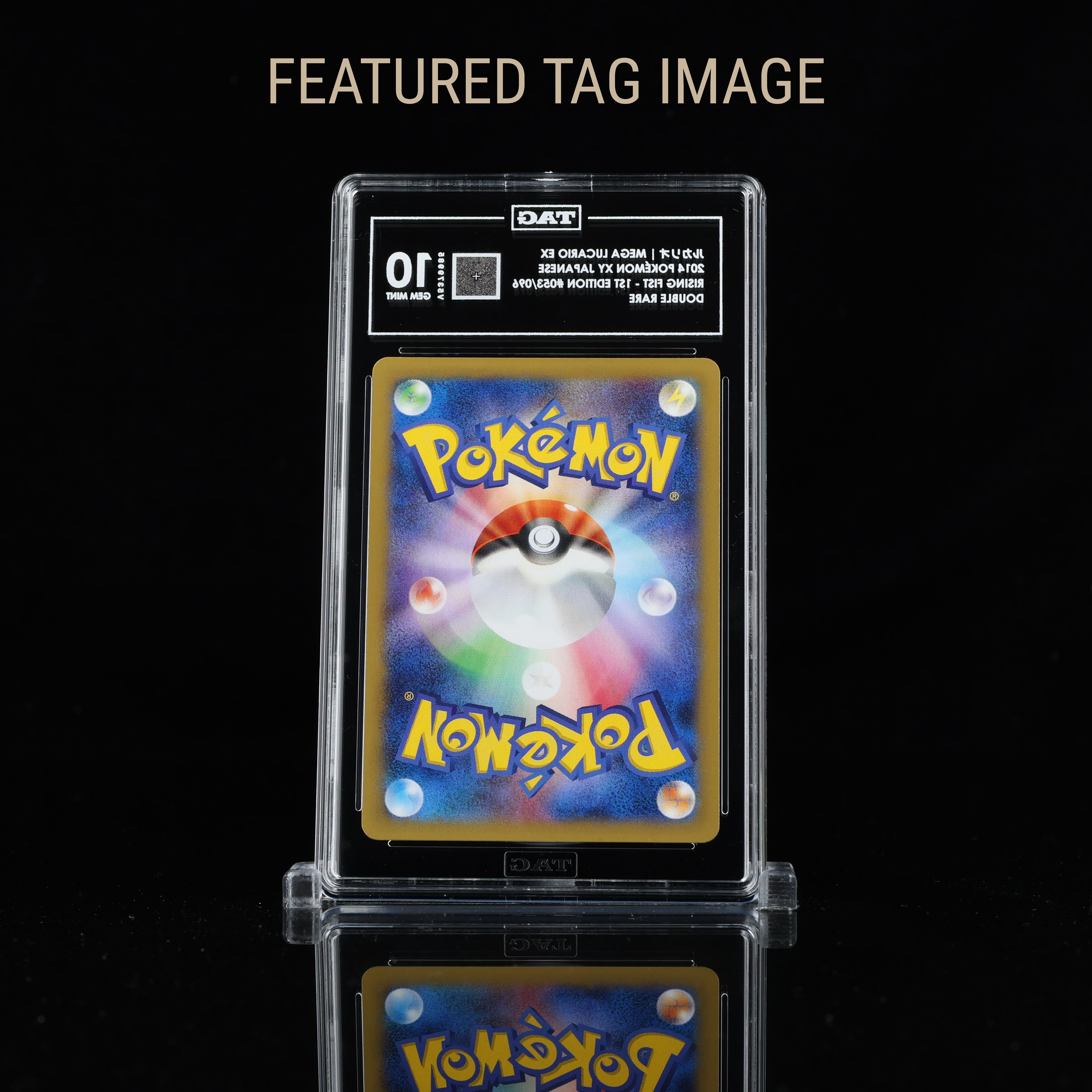 Lucario XY FTI Back.png