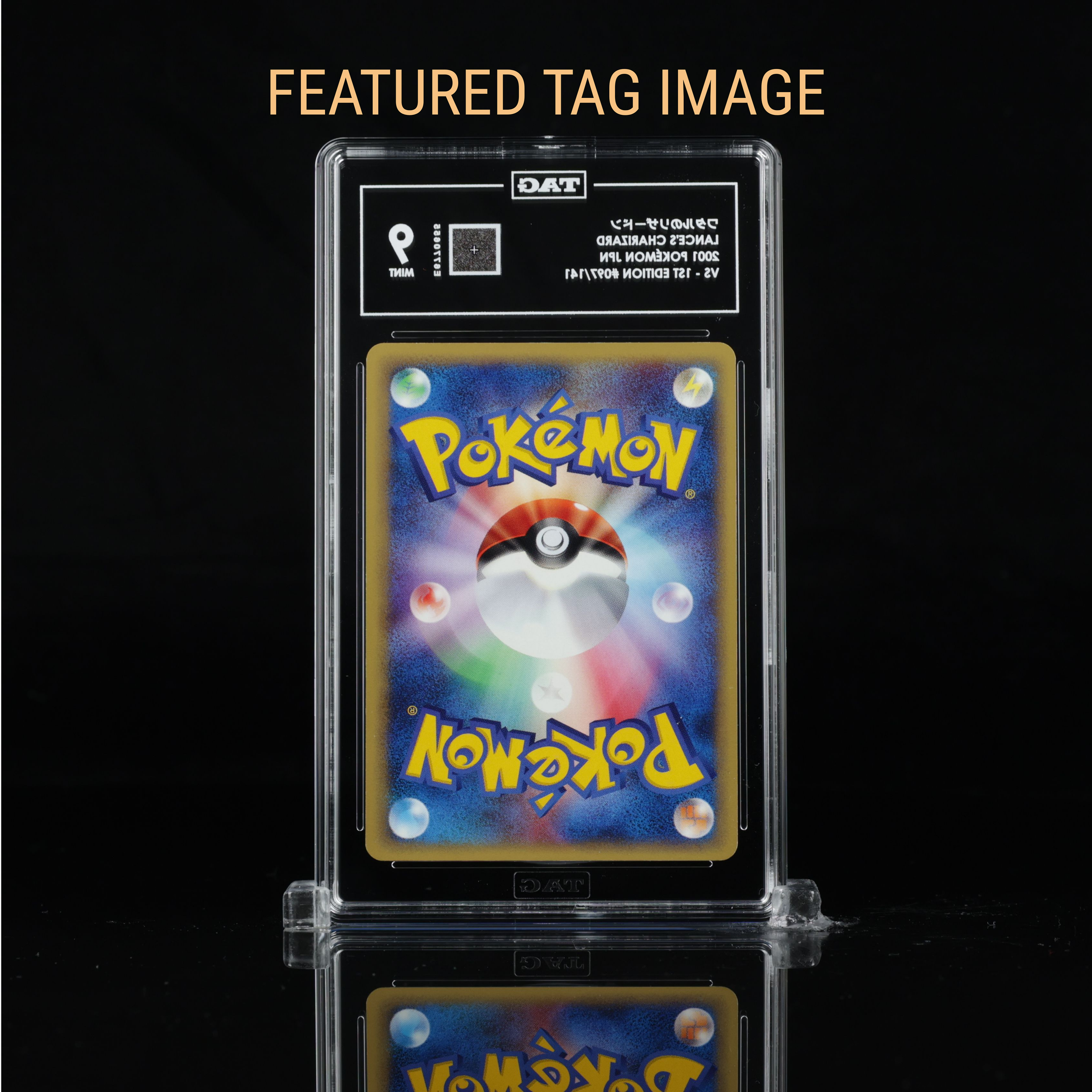 L Charizard FTI back.png