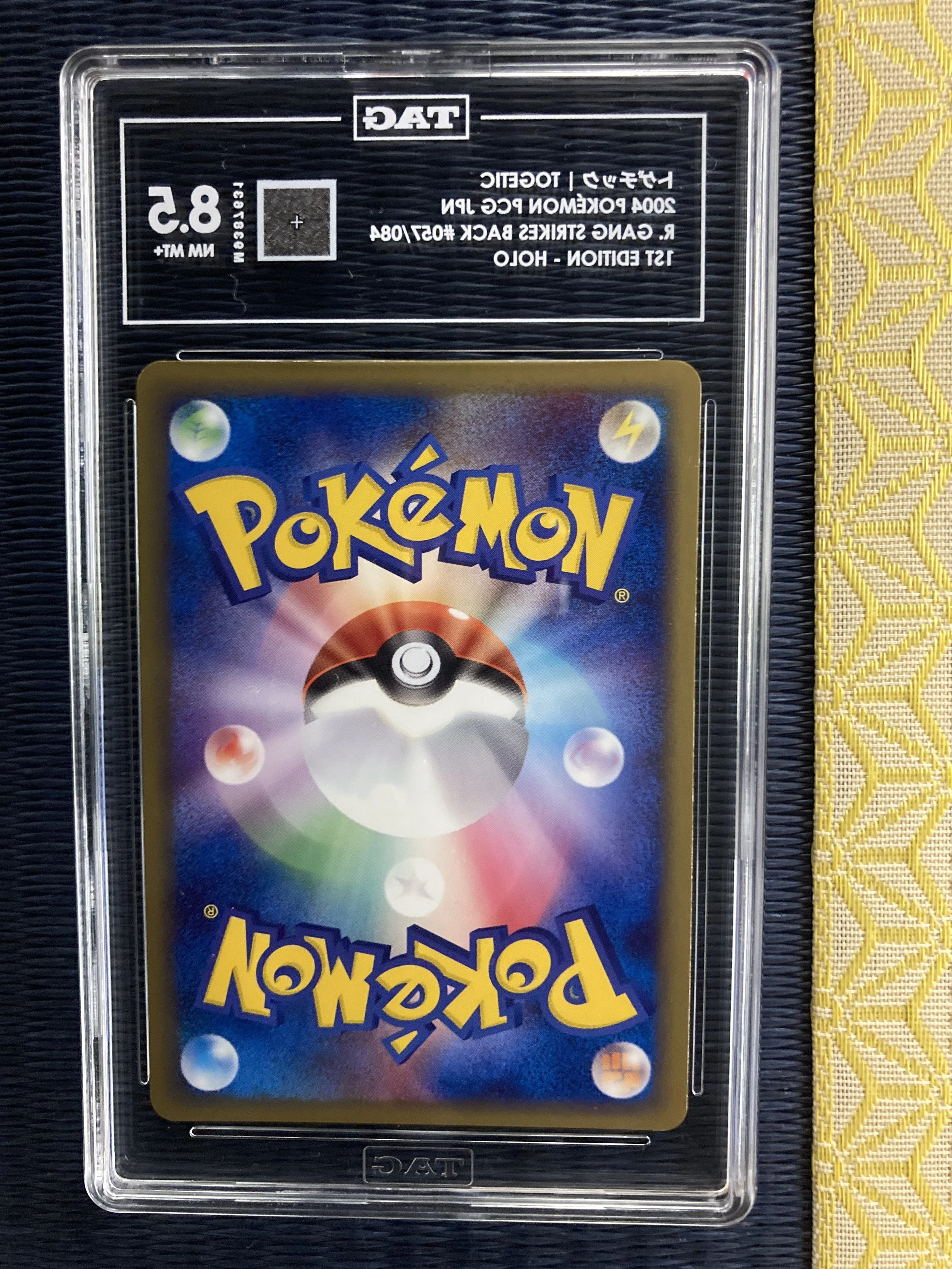 Photo 2026-01-16, 19 53 20.jpg