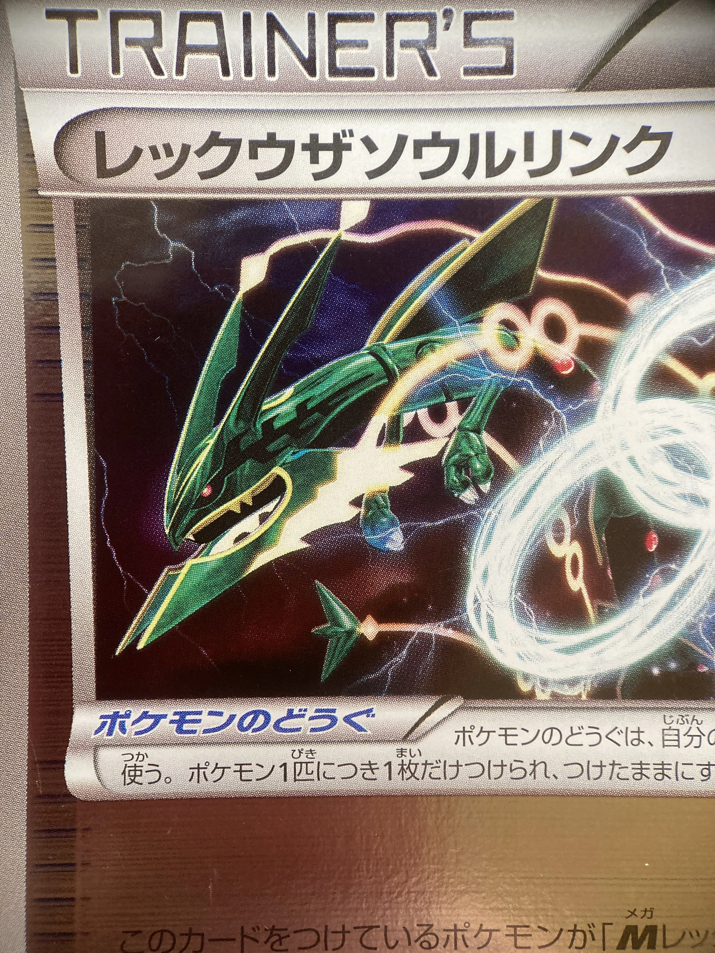 Photo 2026-02-23, 11 32 31.jpg