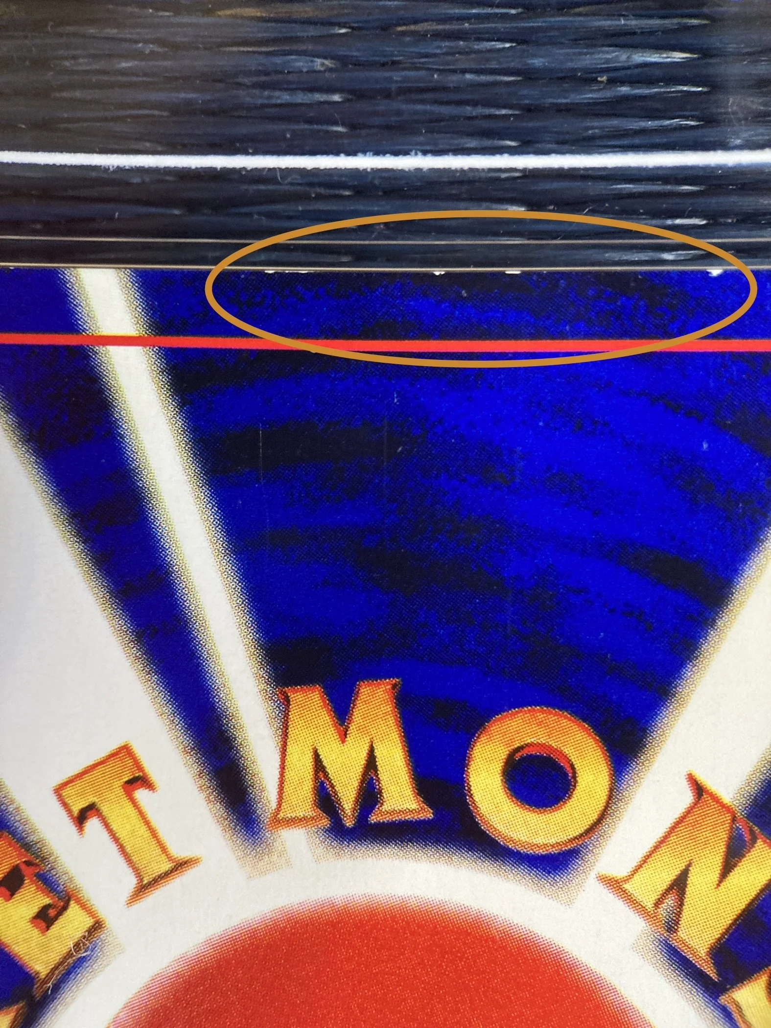 Photo 2026-03-13, 22 52 42.jpg