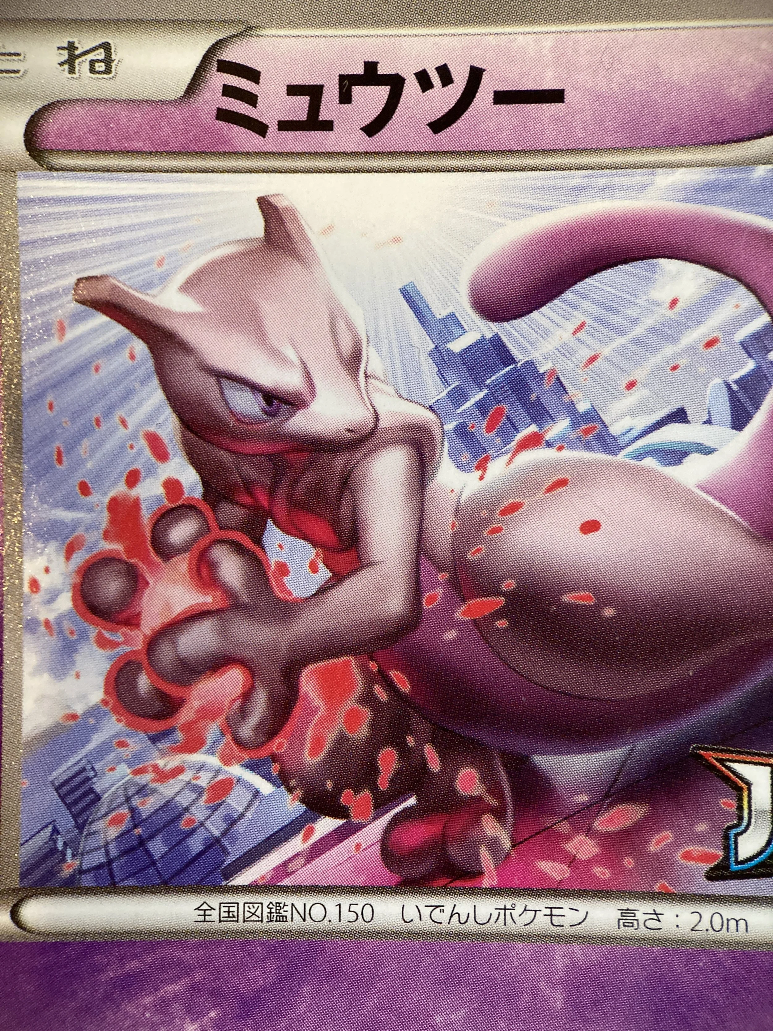 Photo 2026-03-13, 16 35 35.jpg