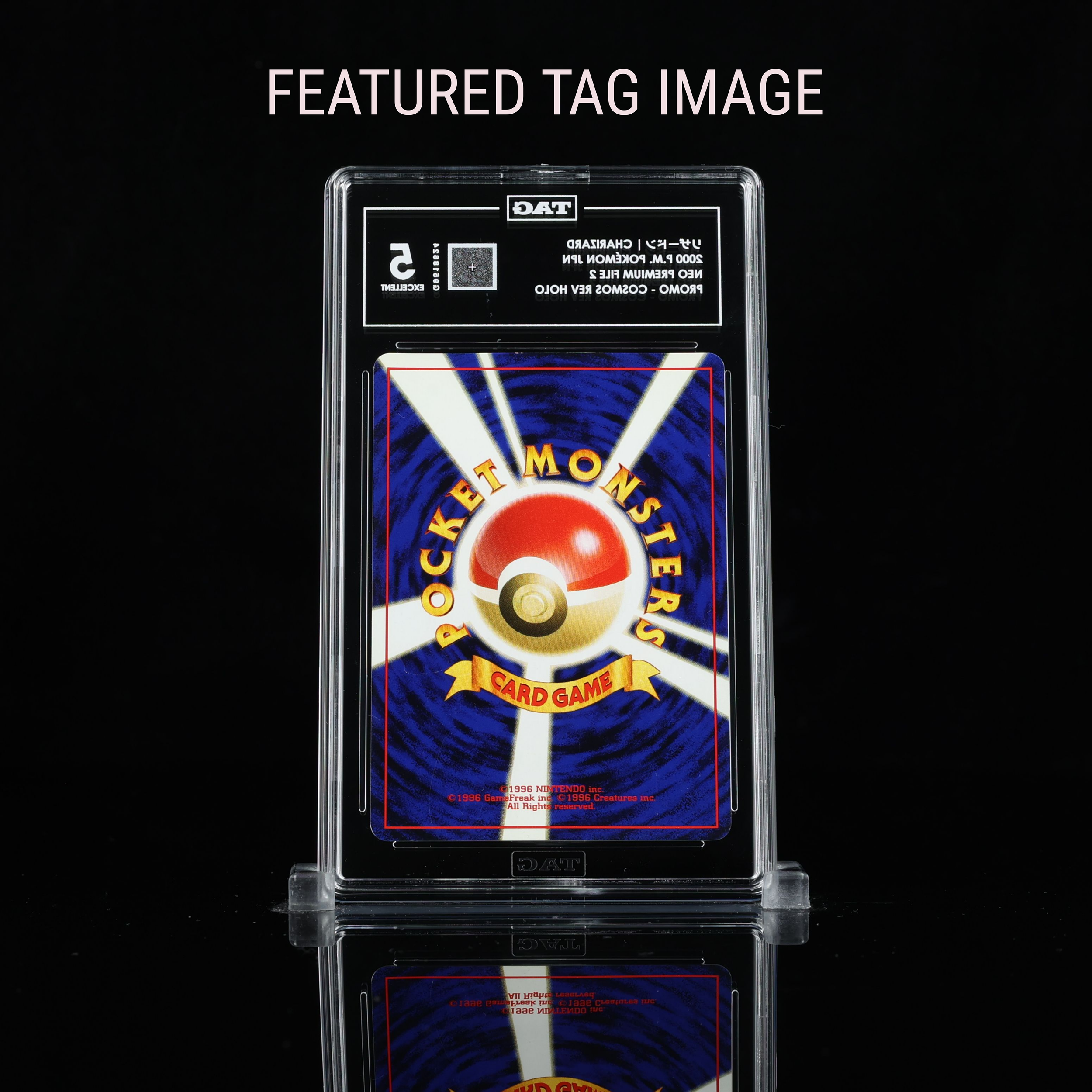 chari file 2  FTI Back.png