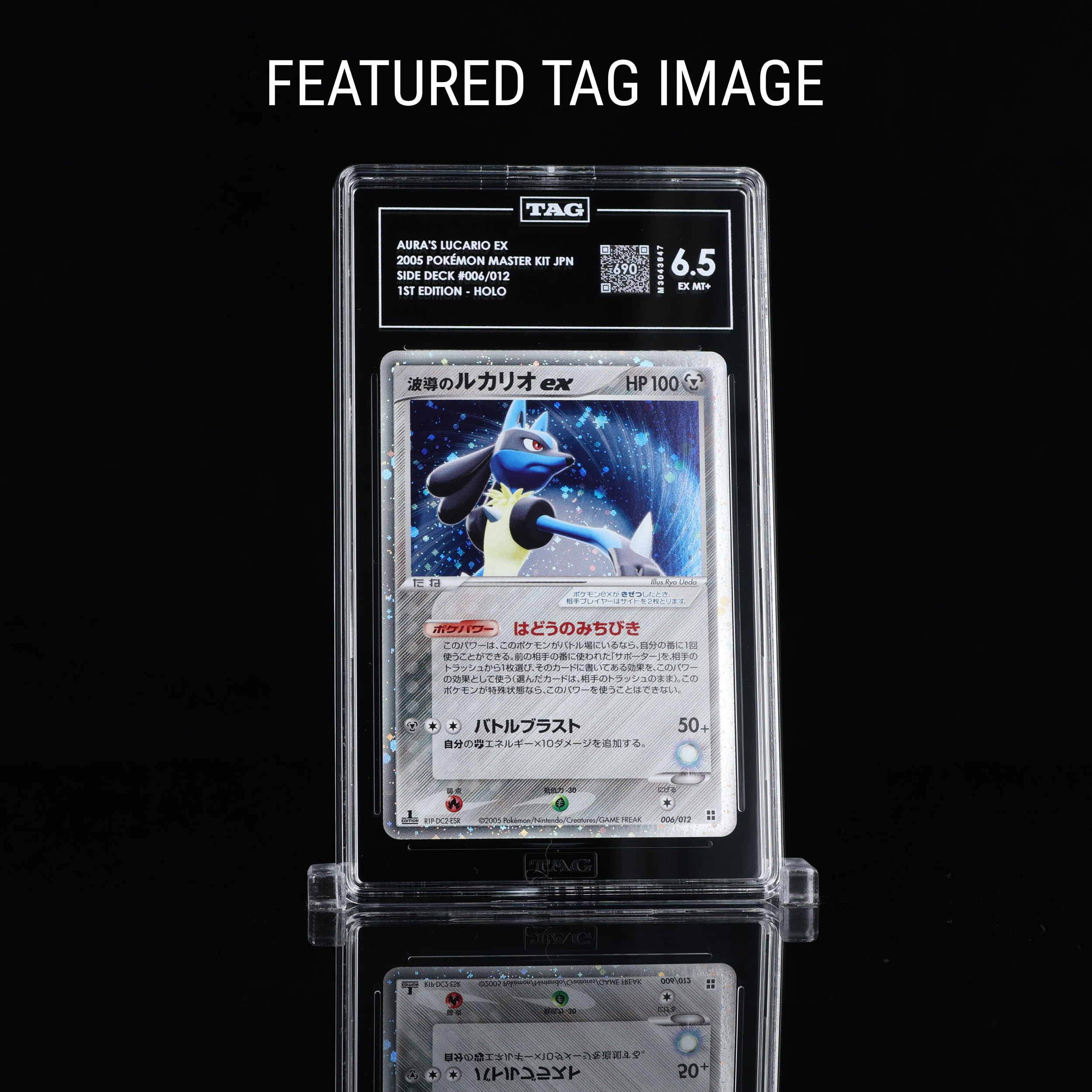 Lucario Master FTI Front.png