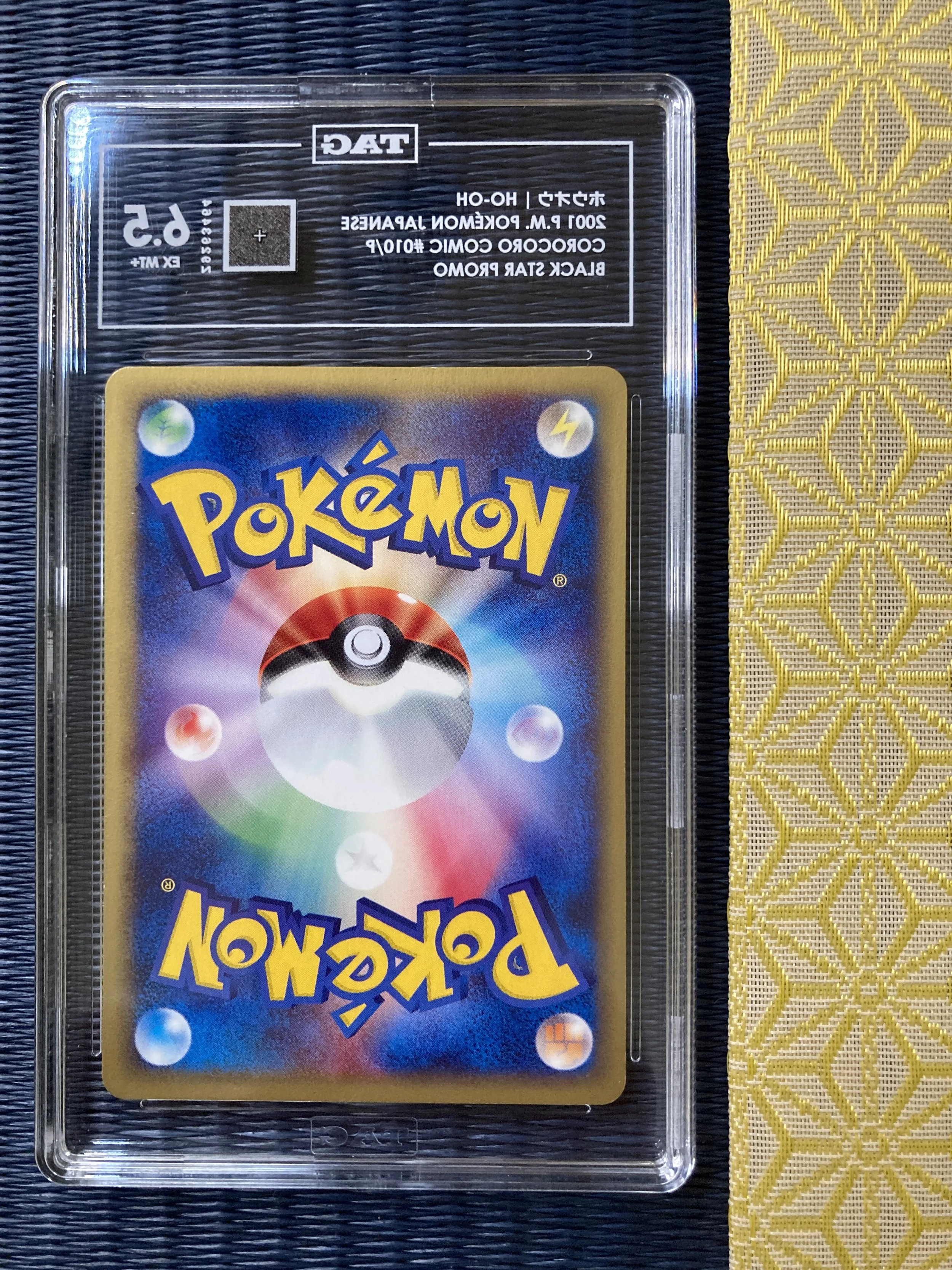 Photo 2026-01-30, 11 06 01.jpg