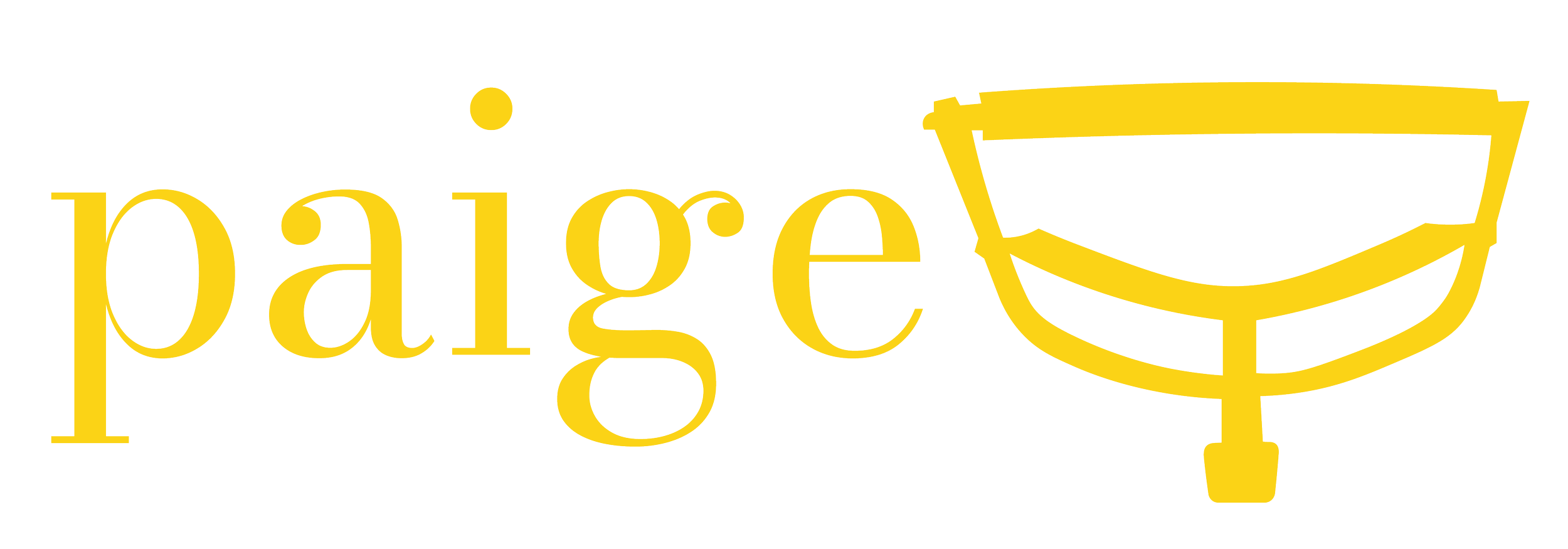 Logo with the word 'pige' in yellow lowercase letters and an illustration of a fedora hat in yellow next to it.