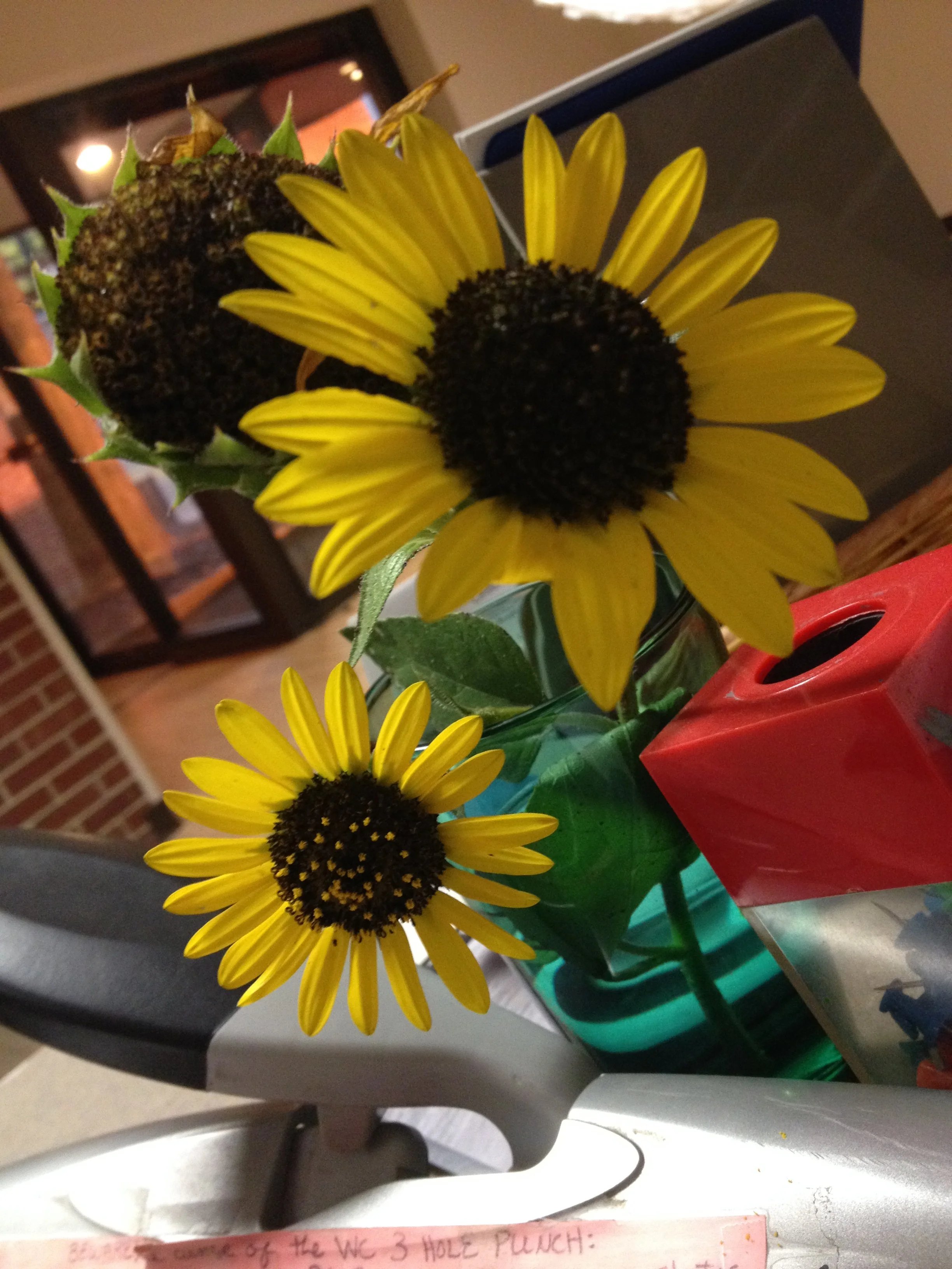 Sunflowers in a vase placed on a table with a red and green container, a notepad, and a blurred background