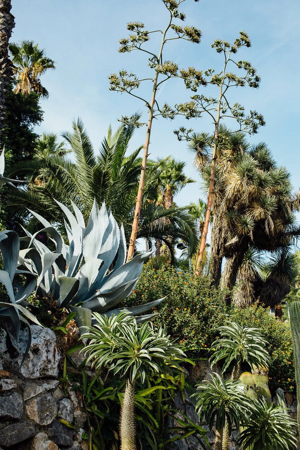 HeleneGiansily2017IMG_7246 (1).jpg