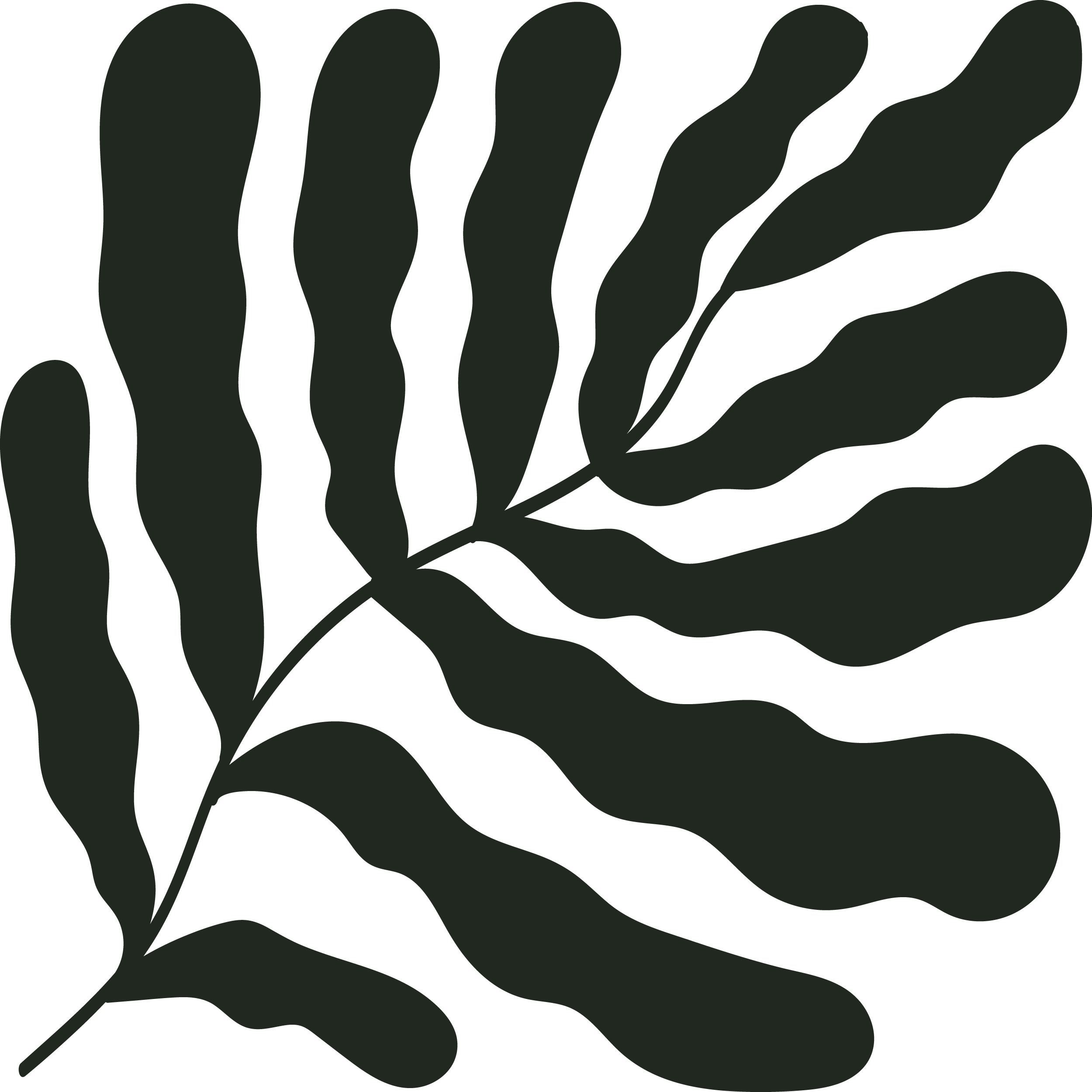 Sustainability & Social Value