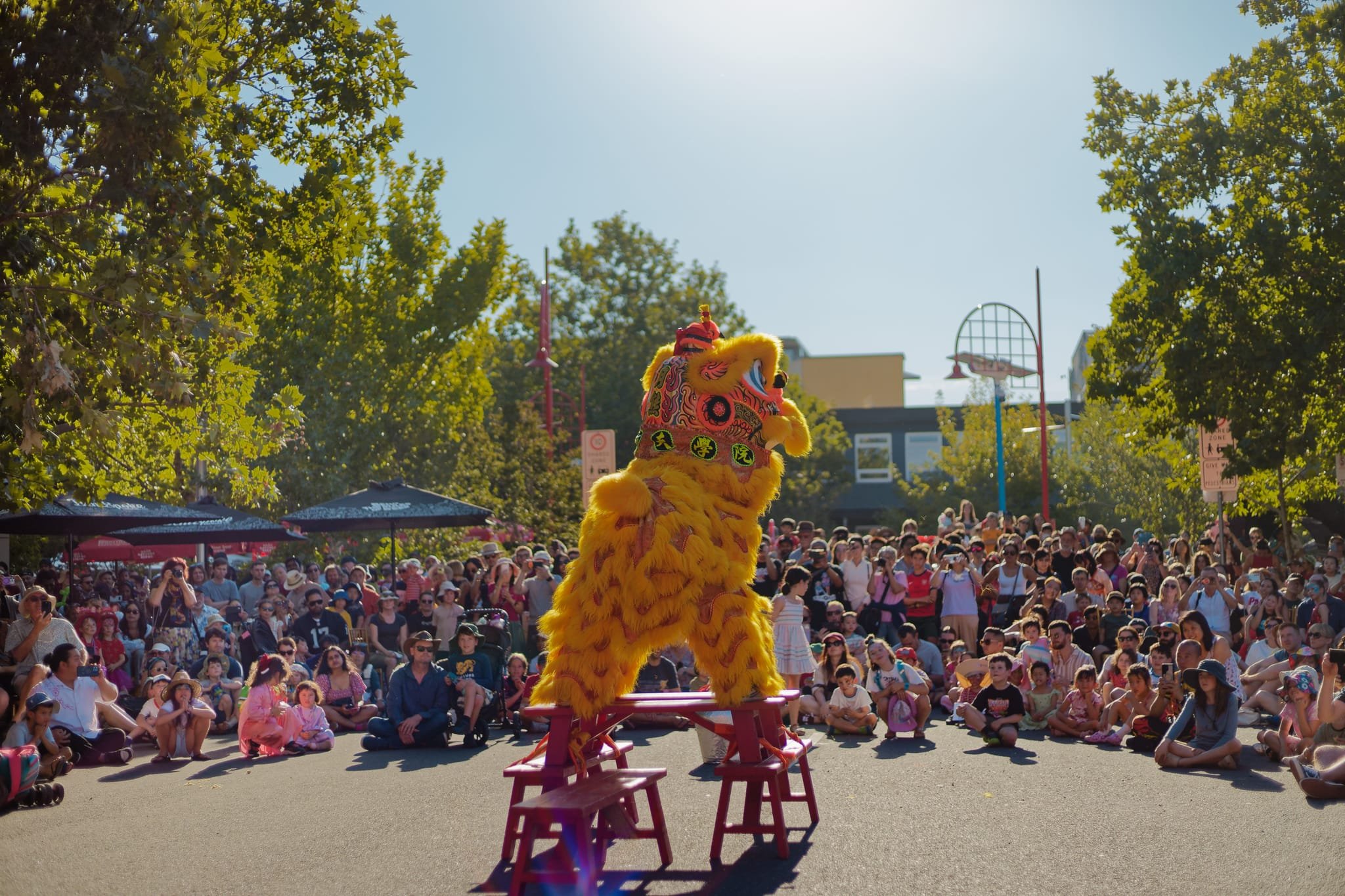 A large crowd of people gathered in a park on a sunny day, watching a traditional Chinese lion dance performance on a red platform.