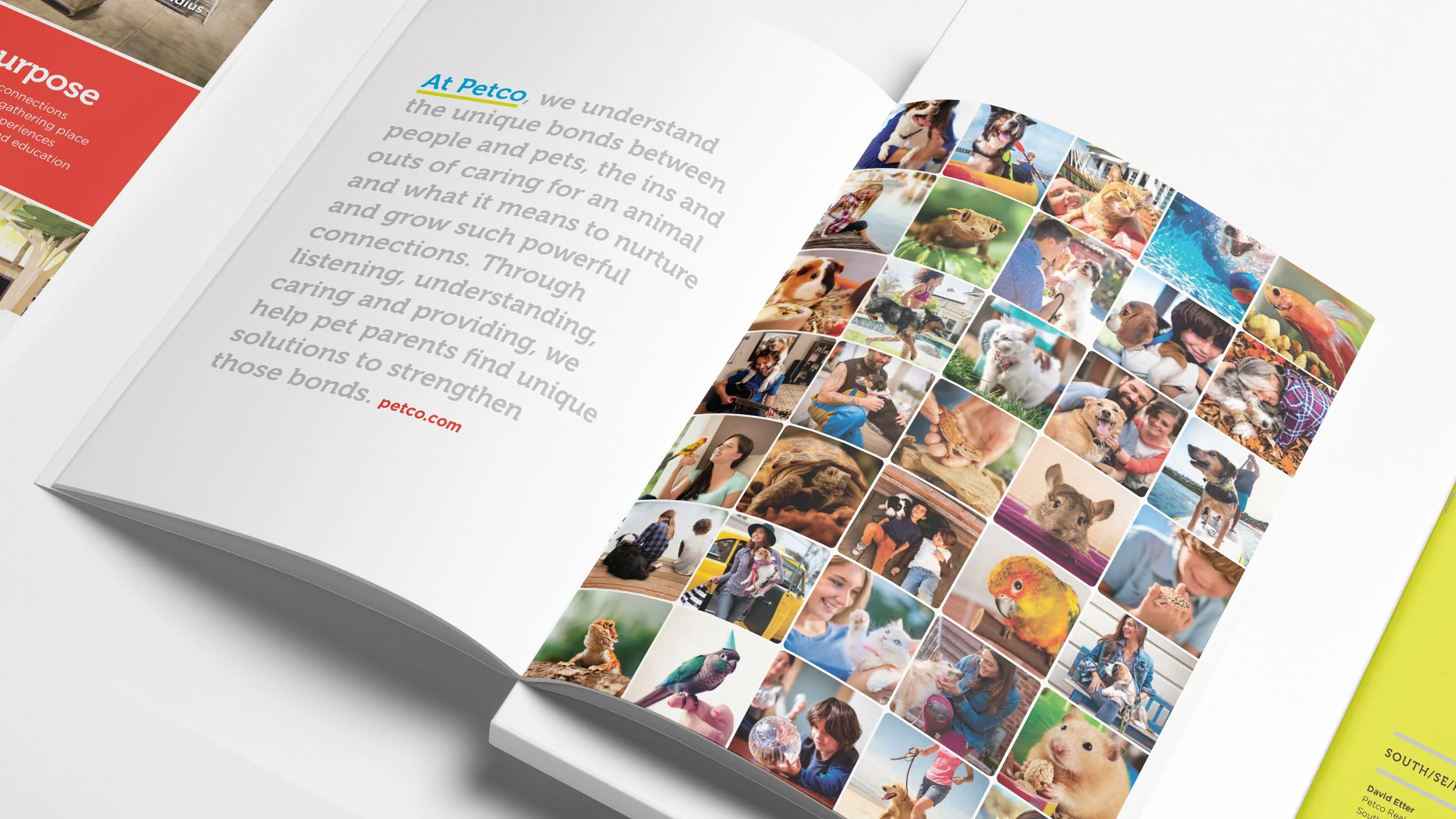 Petco Brochure_Nuruting Powerful Connections_Mock Up_3.jpg