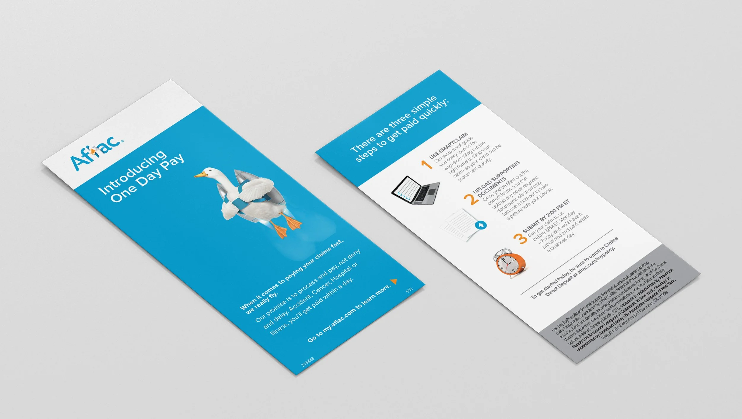 Buckslip Insert copy_Mock Up 1.jpg