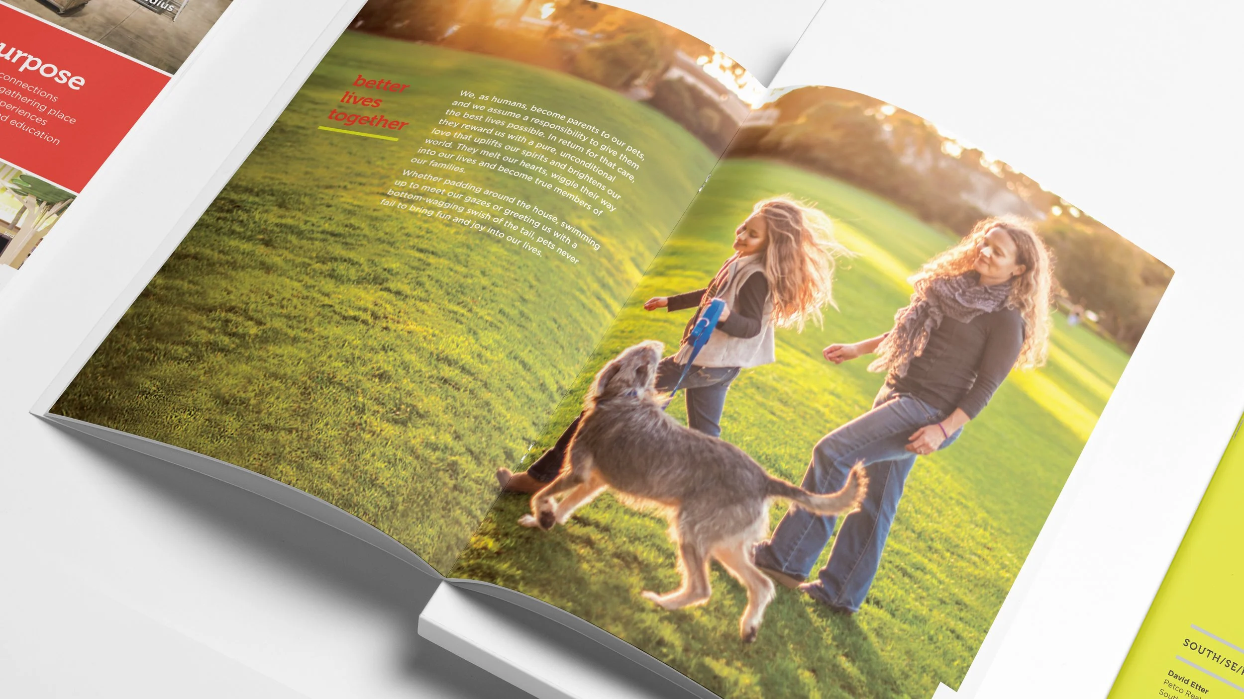 Petco Brochure_Nuruting Powerful Connections_Mock Up_2.jpg