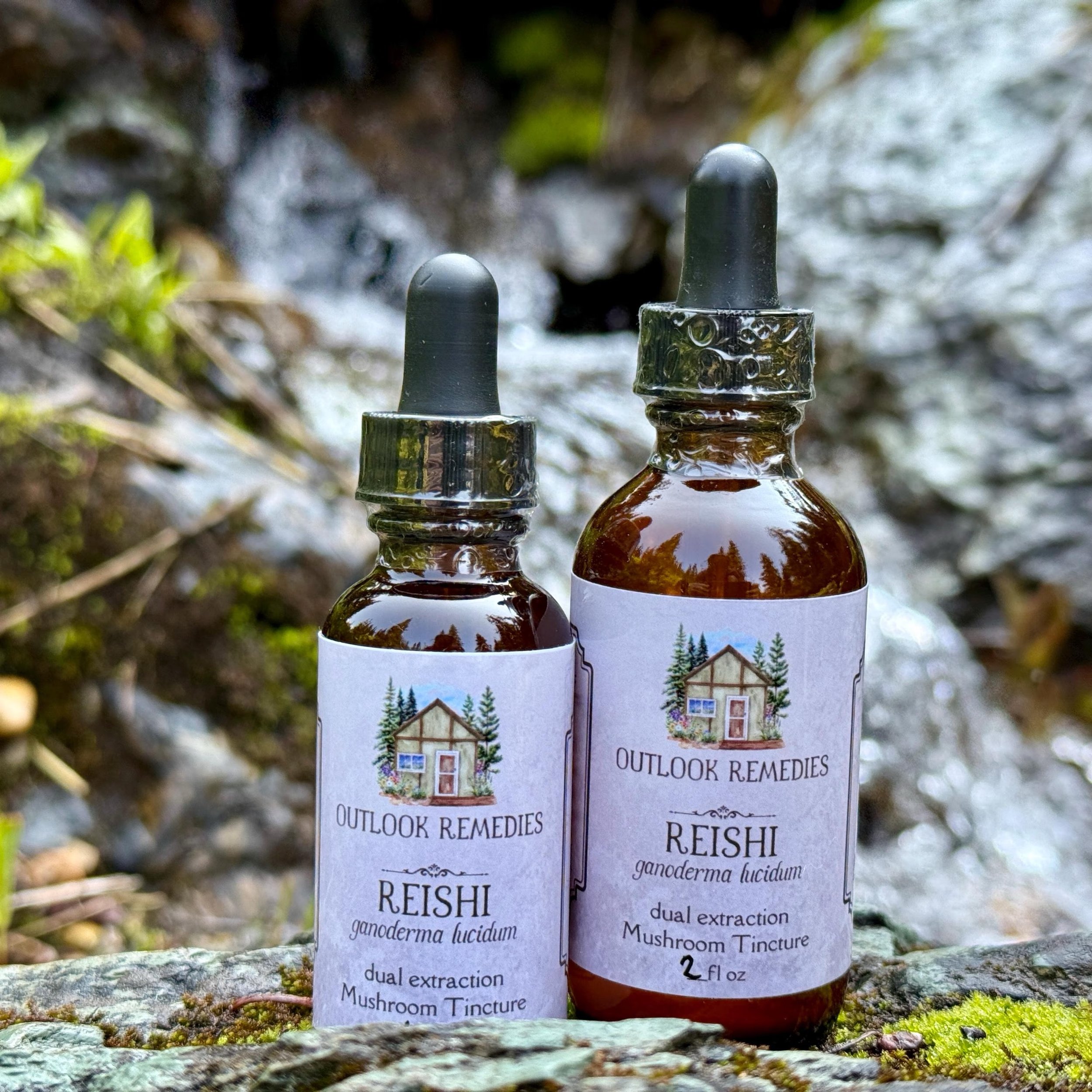 Reishi Mushroom Tincture