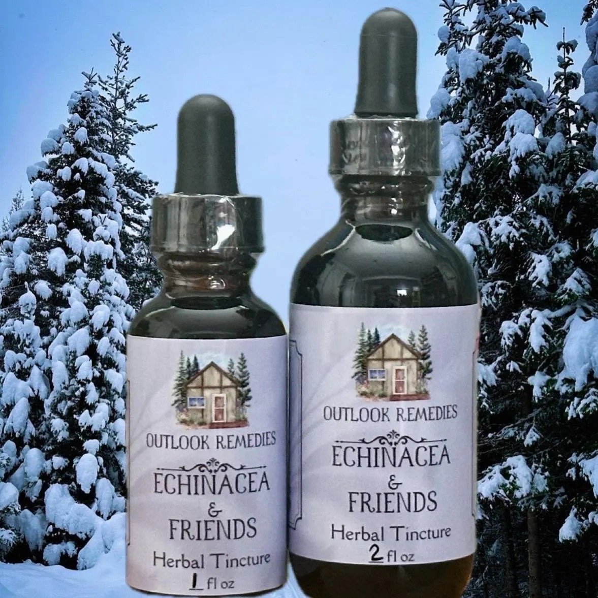 Echinacea & Friends Herbal Tincture