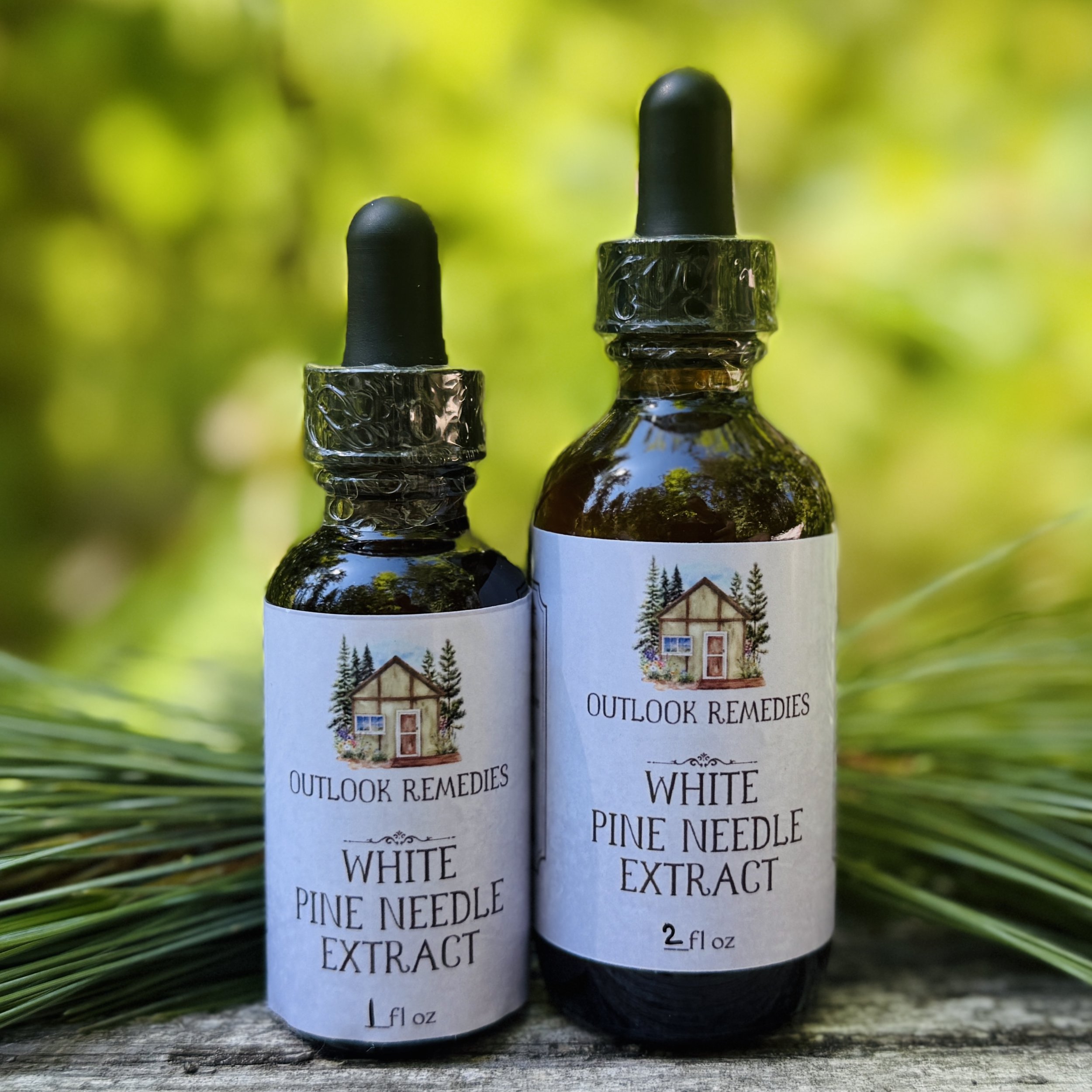 White Pine Needle Extract