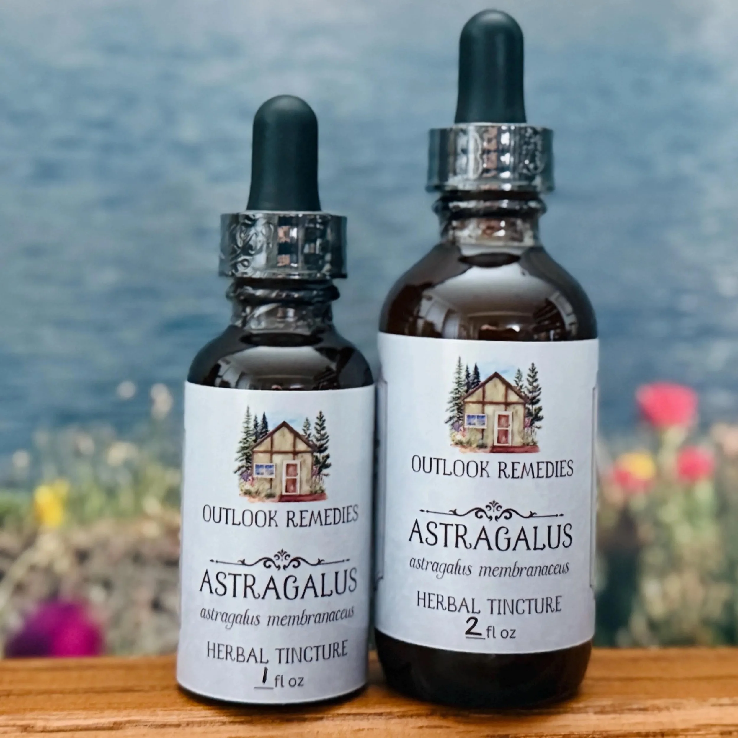 Astragalus Herbal Tincture