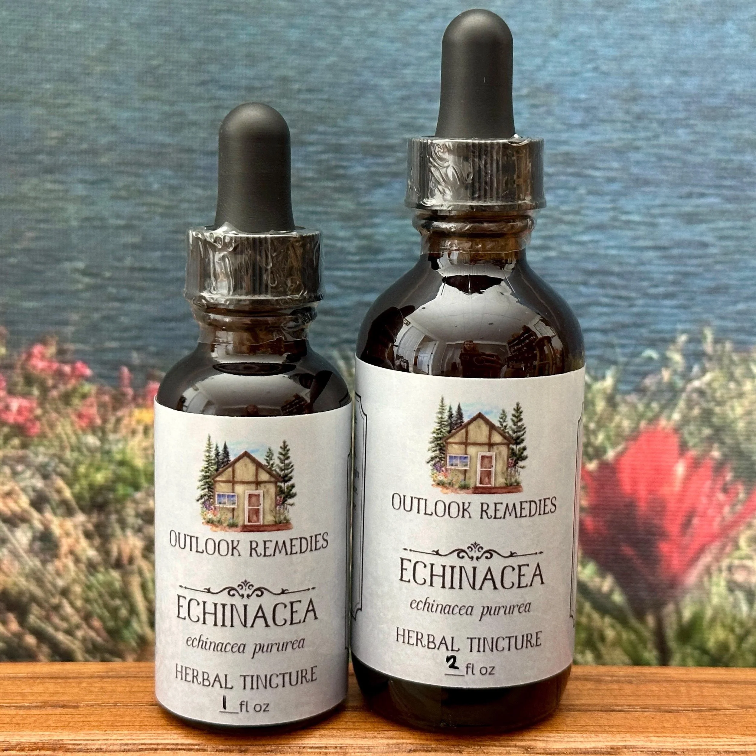 Echinacea Root Herbal Tincture