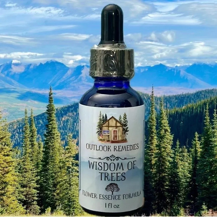 Wisdom of Trees Flower Essence Formula, 1 oz dropper bottle