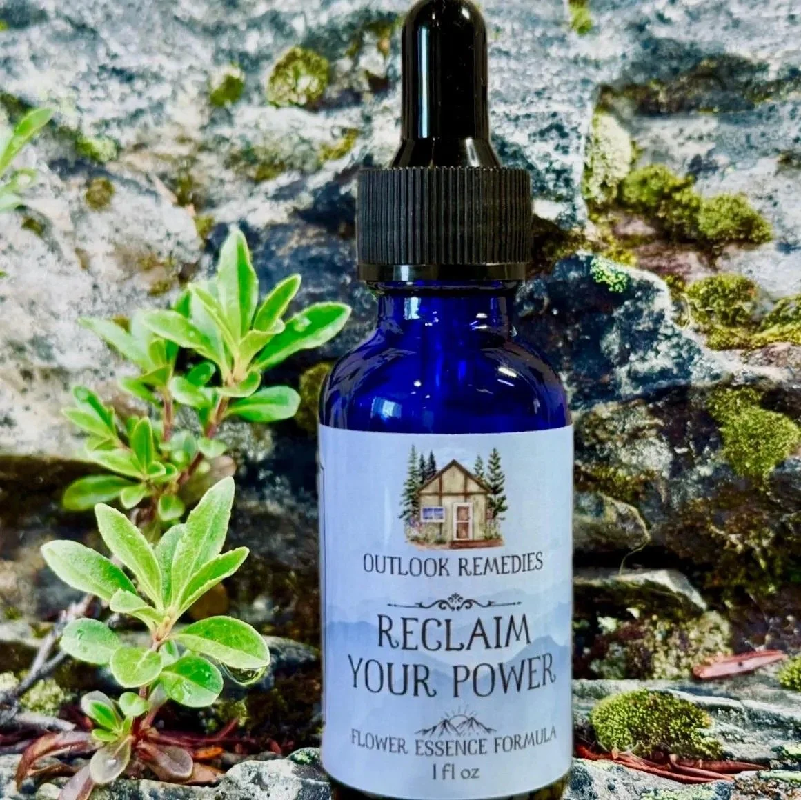 Reclaim Your Power Flower Essence Formula, 1 oz dropper bottle