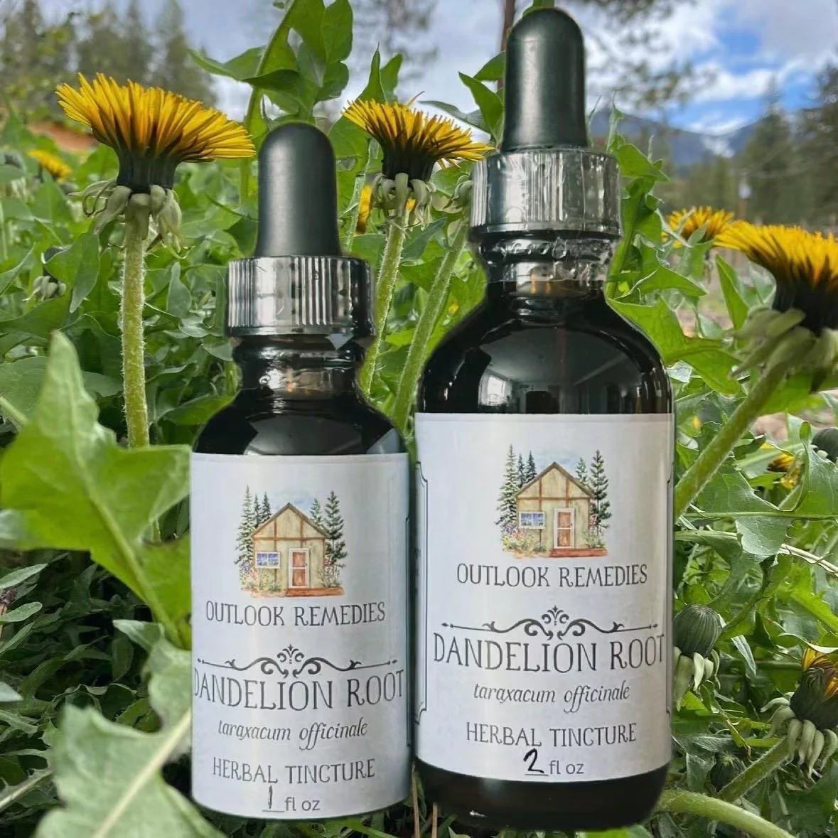 Wildcrafted Dandelion Root Tincture