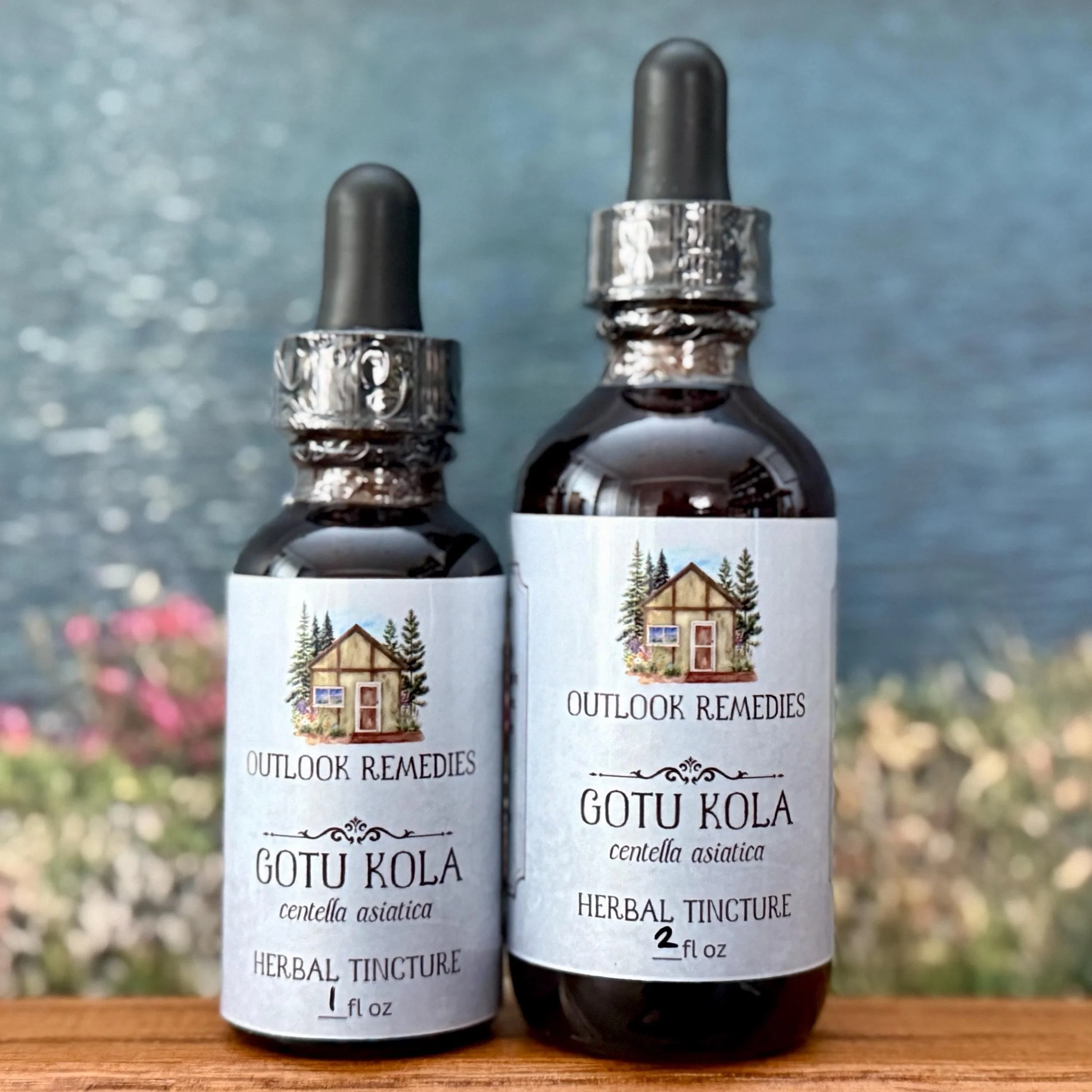 Gotu Kola Herbal Tincture