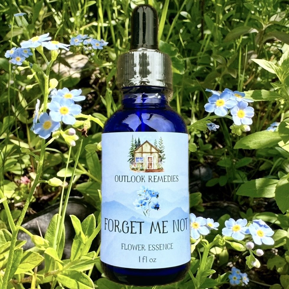 Forget Me Not Flower Essence, 1 oz dropper bottle