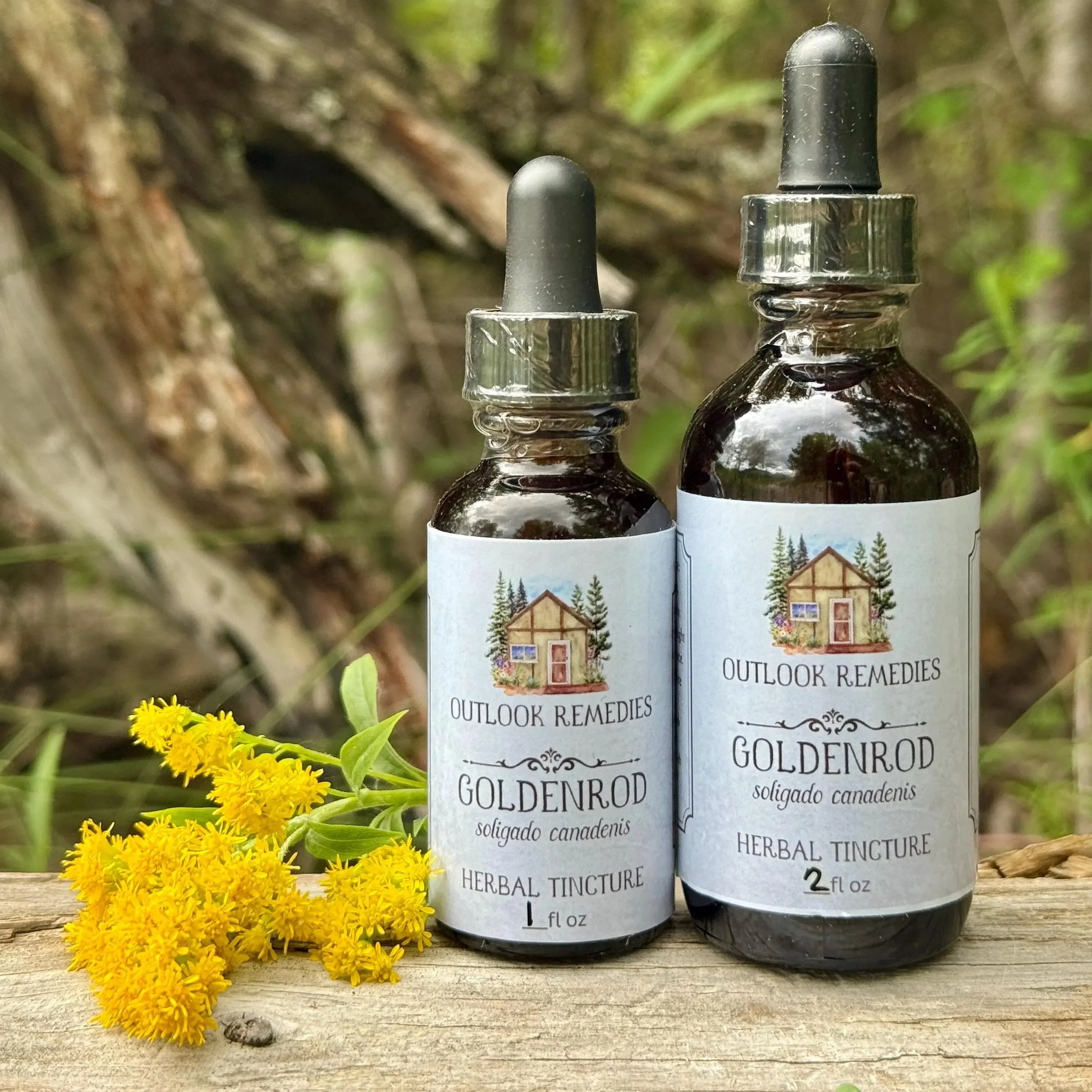 Wildcrafted Goldenrod Tincture