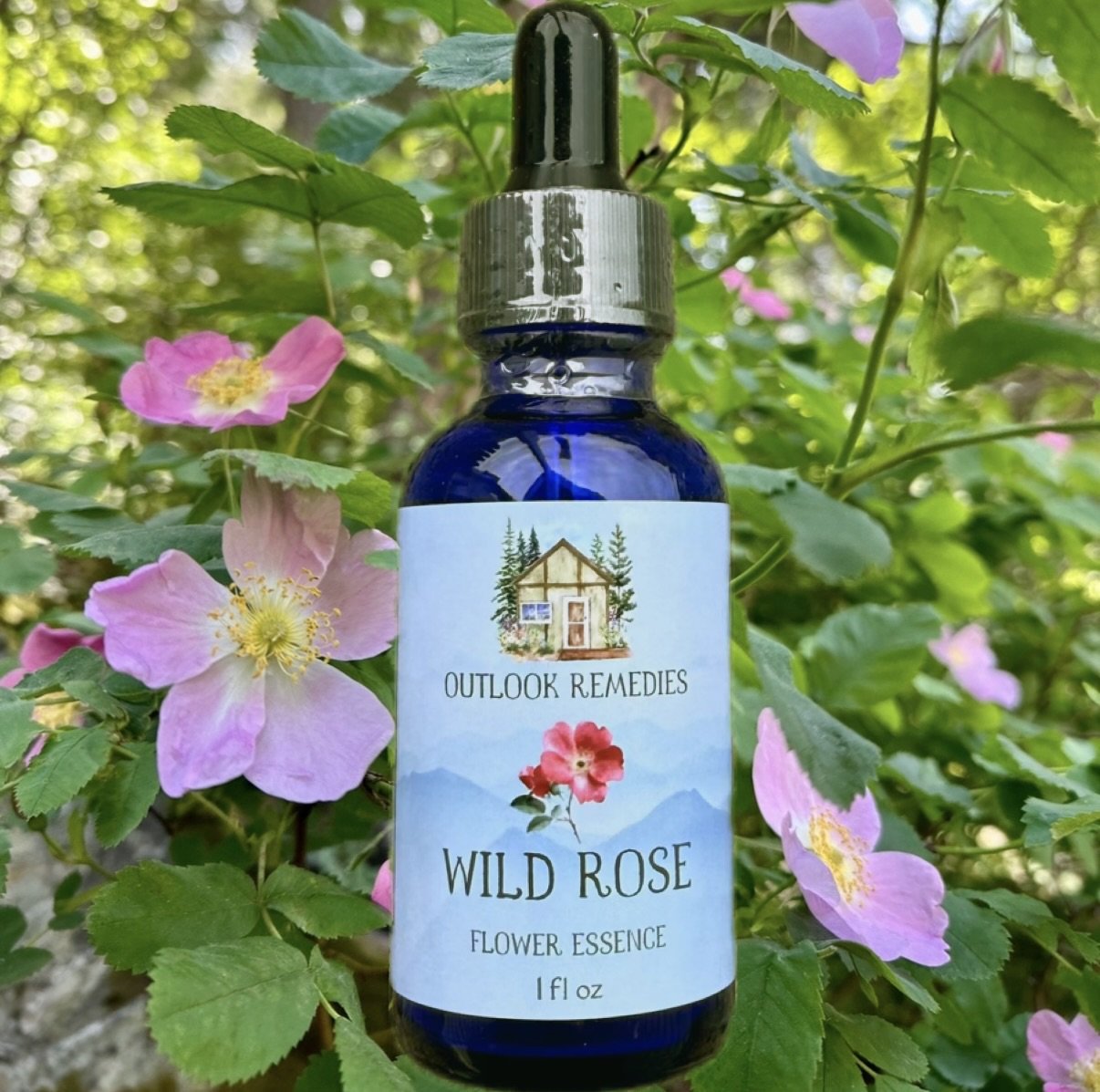 Wild Rose Flower Essence, 1 oz dropper bottle