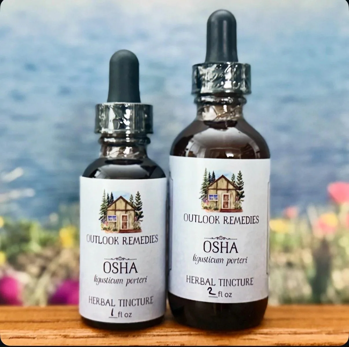 Wildcrafted Osha Root Tincture