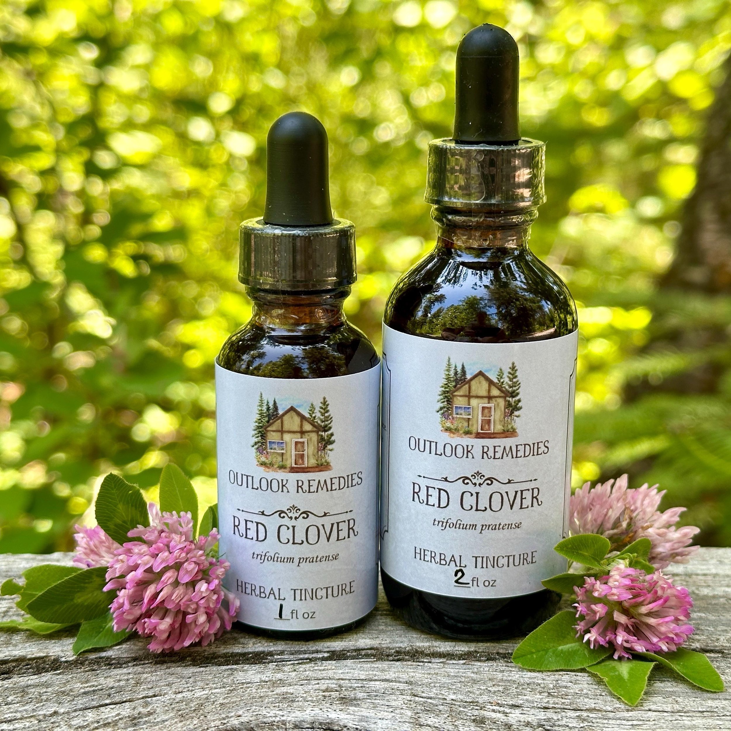 Wildcrafted Red Clover Tincture