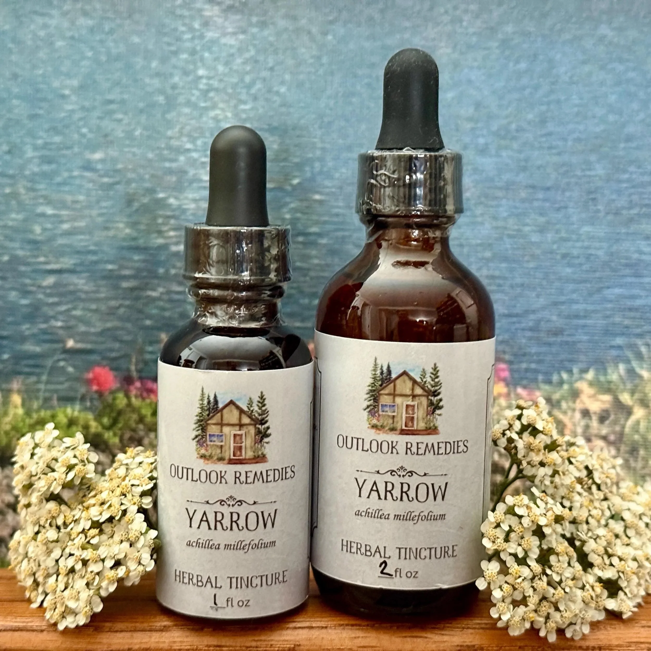 Wildcrafted Yarrow Tincture