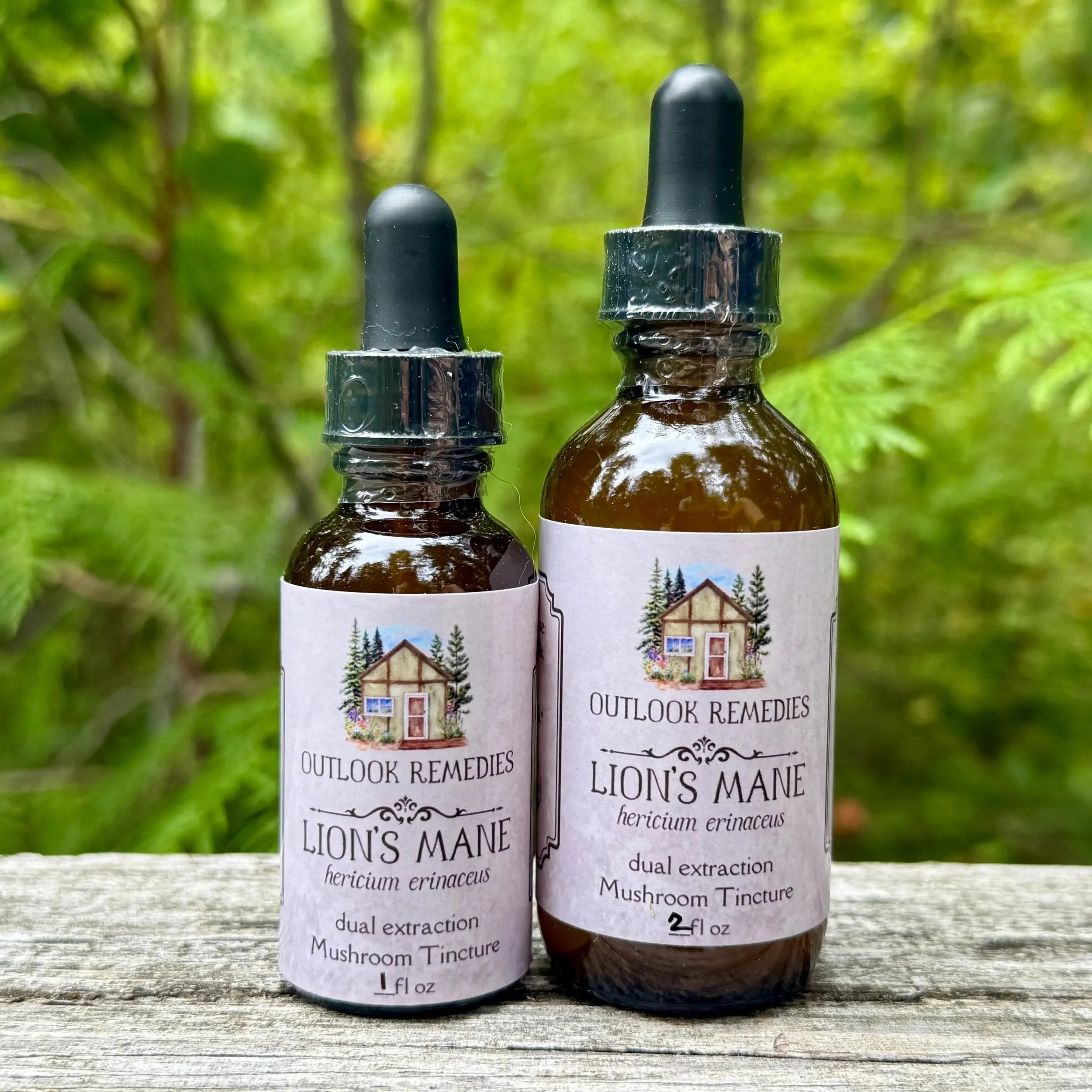 Lion's Mane Mushroom Tincture