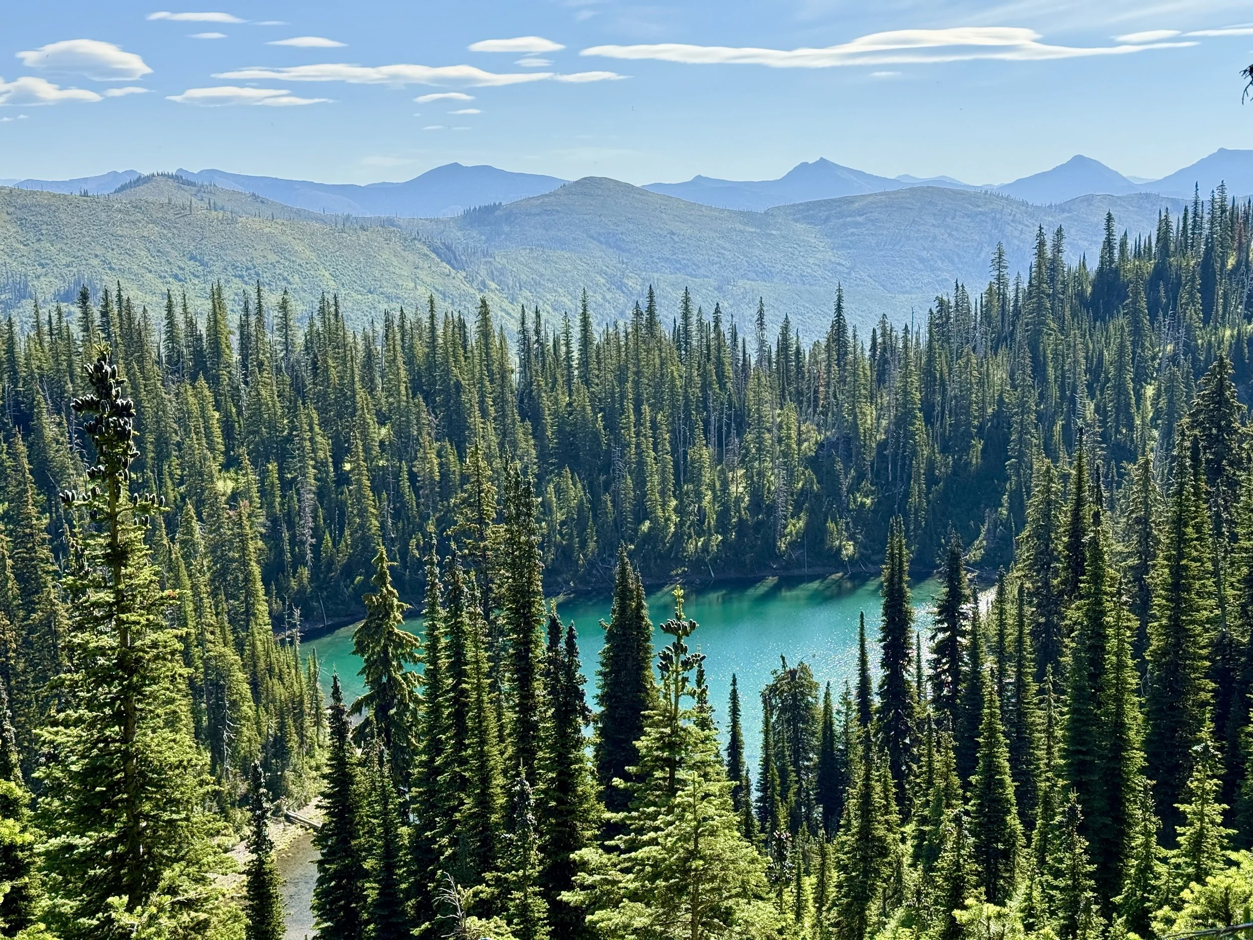 A scenic view of a dense evergreen forest surrounding a turquoise lake with mountain ranges in the background under a partly cloudy sky.