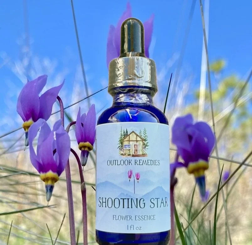 Shooting Star Flower Essence, 1 oz dropper bottle