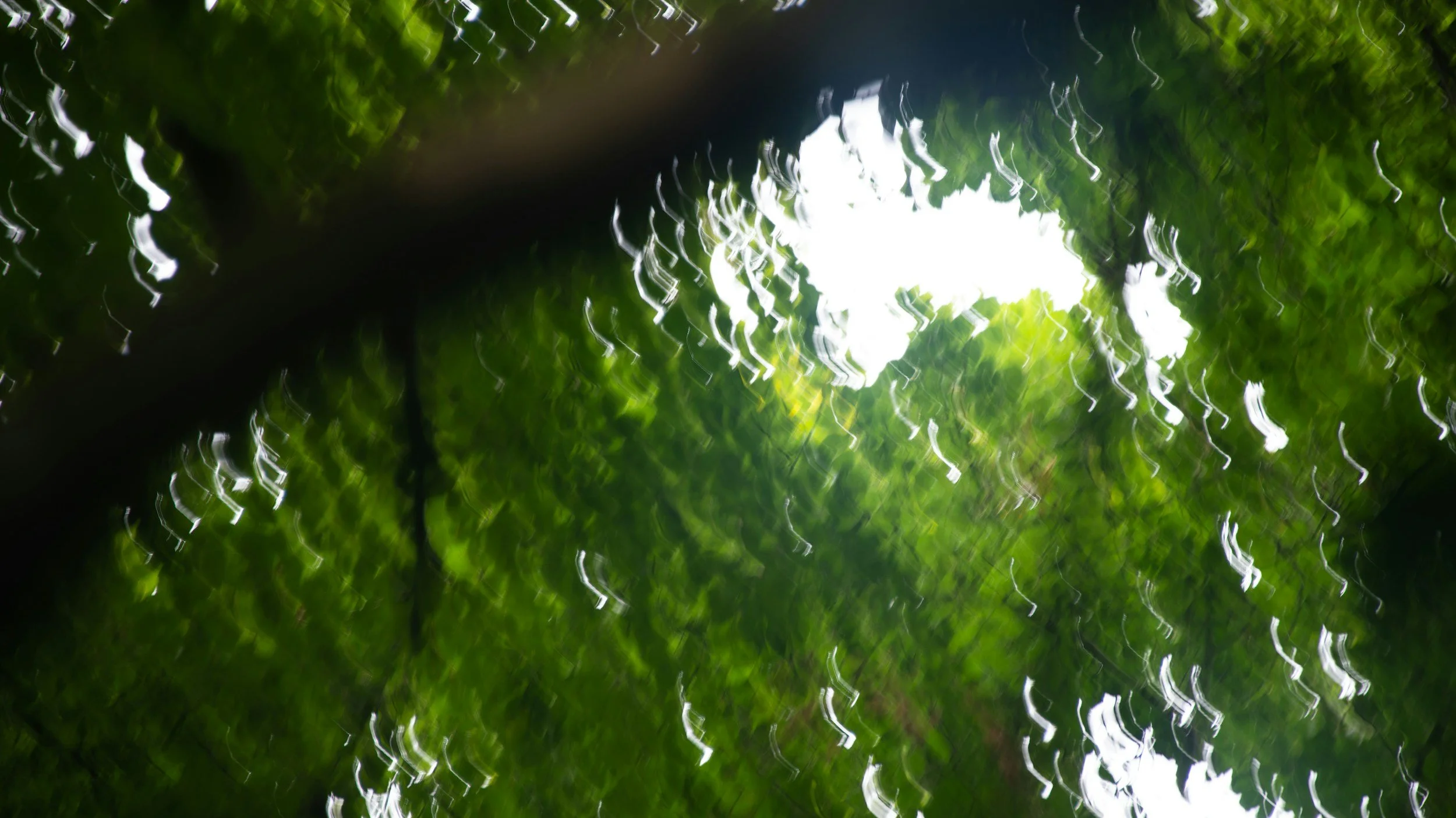 Consciousness Is Just Another Sense (And That Changes Everything)