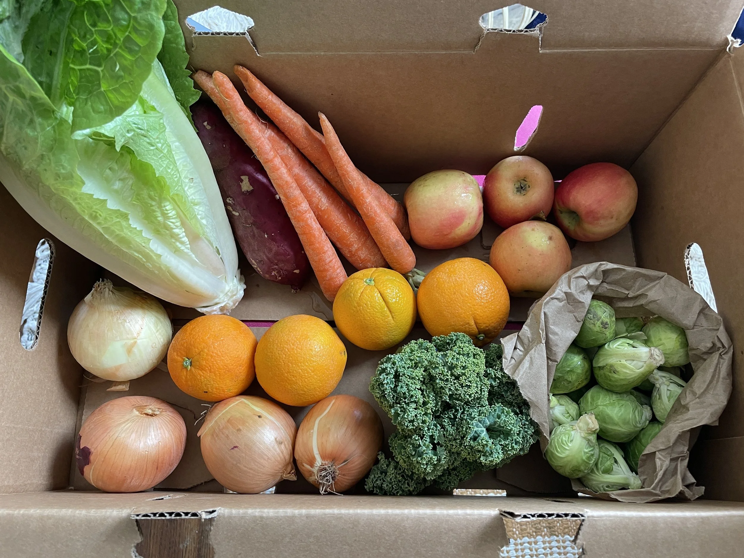 A top view of a Community Supported Agricultural (CSA) box shows a variety of foods (Top row, L-R), including: One romaine lettuce, a sweet potato, four orange carrots, and four apples. Middle row (L-R) One yellow onion and four oranges. Bottom Row