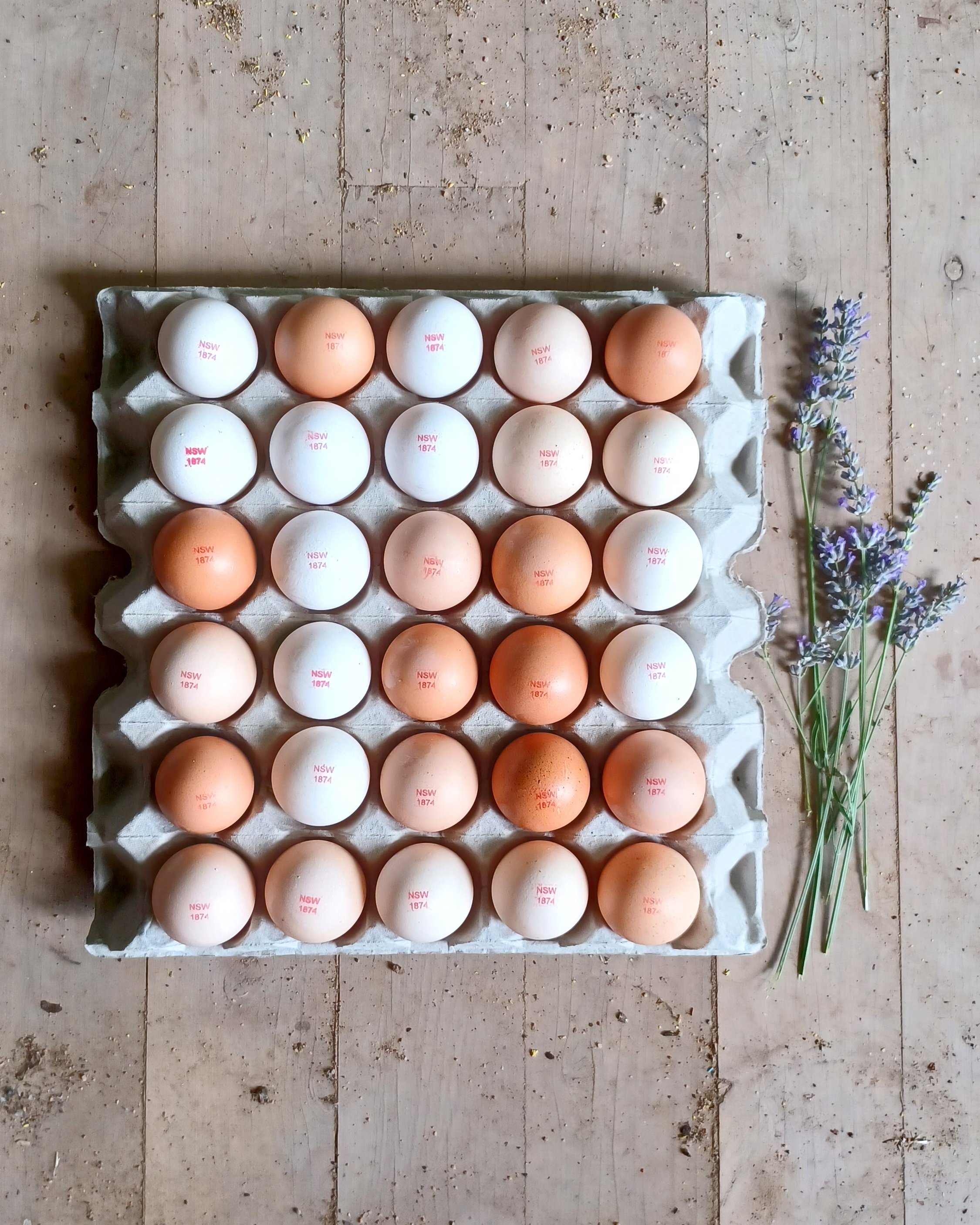 Tray of 30 Pasture Raised Eggs