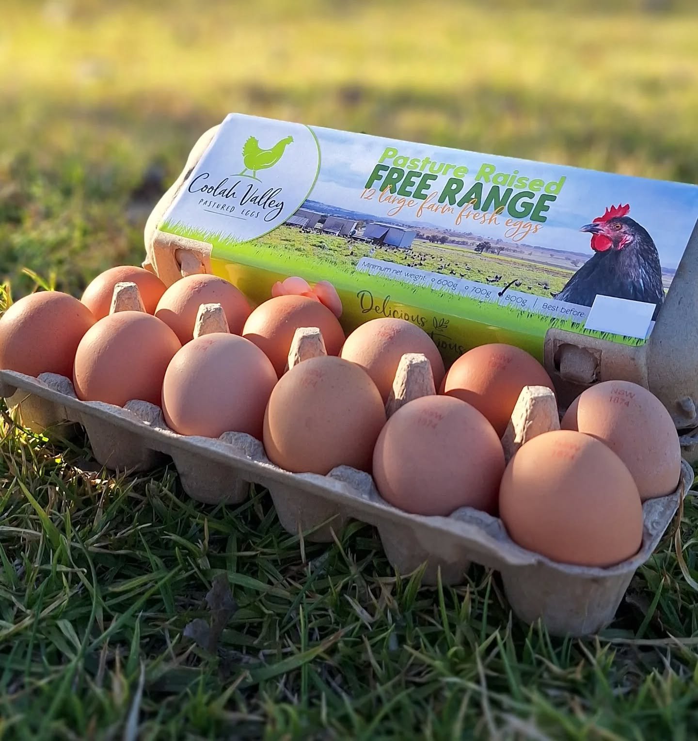 Dozen Carton Pasture Raised Eggs