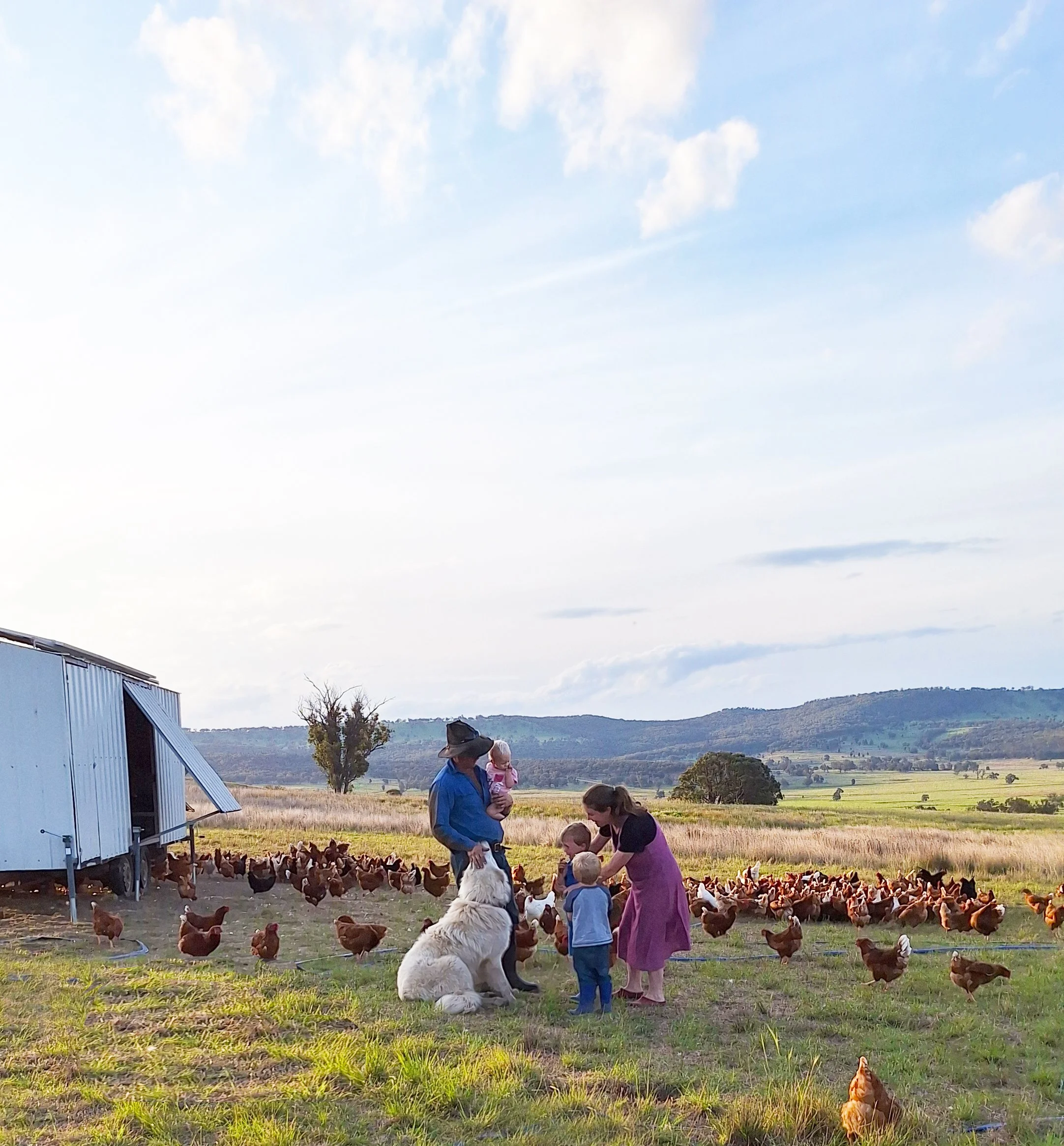 Family standing among pasture raised hens with livestock guardian dog