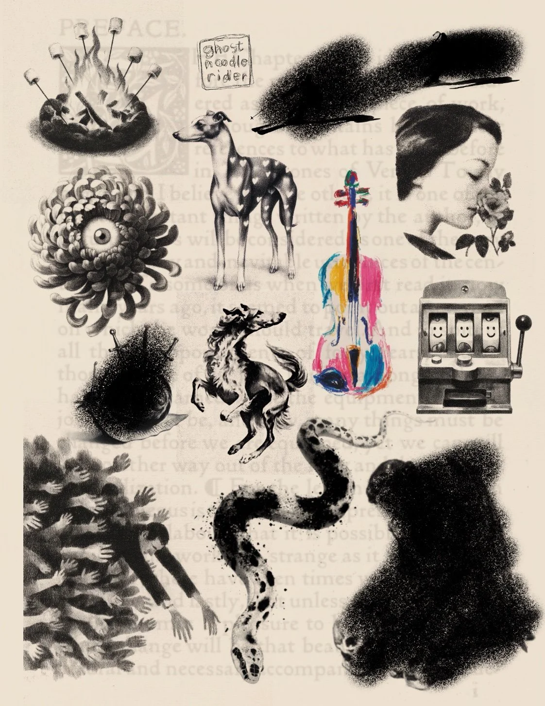 Sheet 204