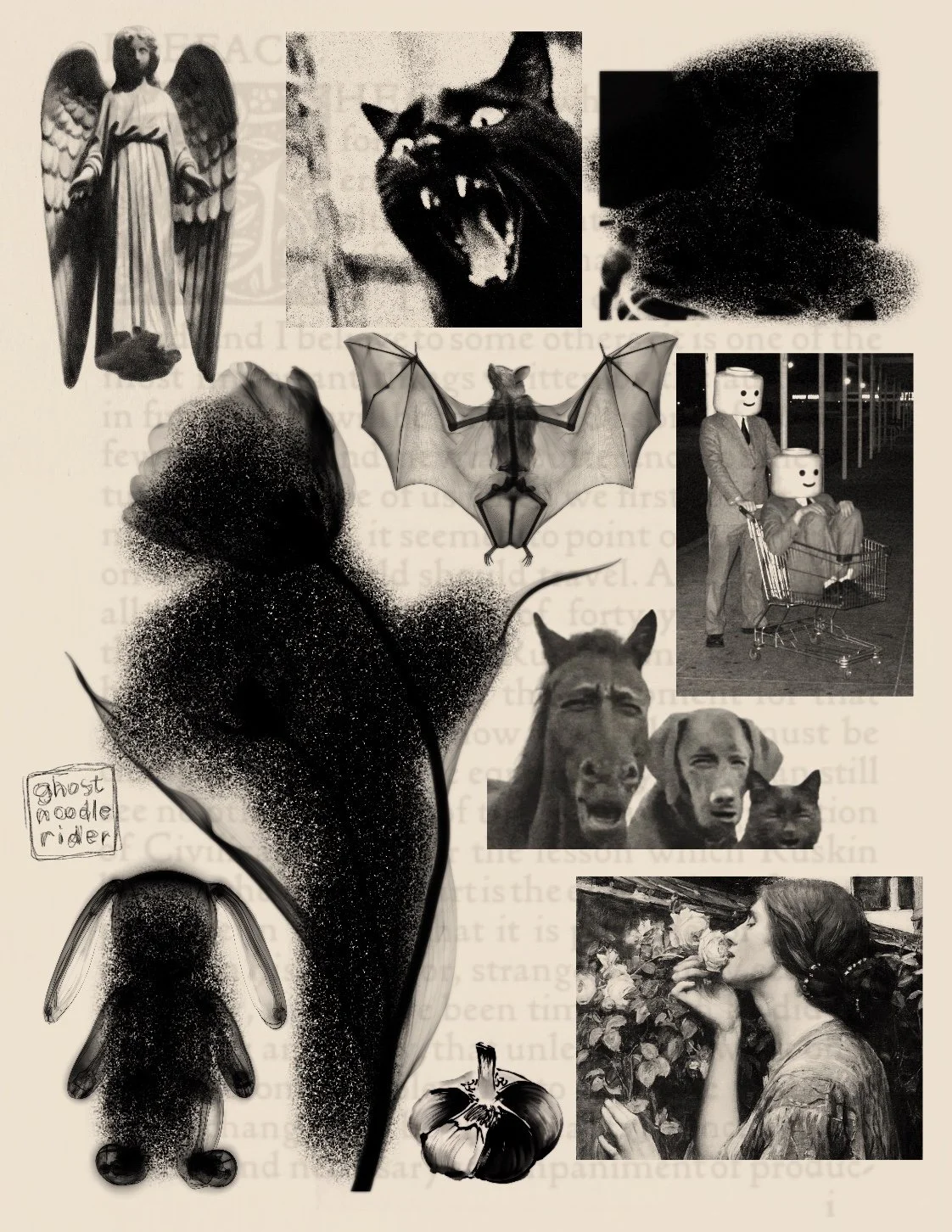 Sheet 206
